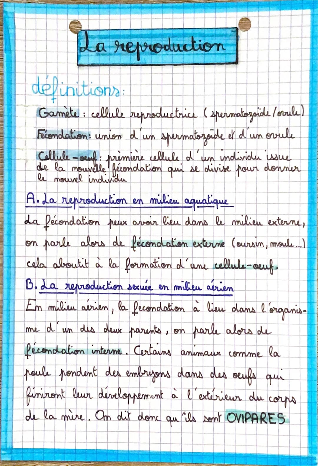 # La reproduction
definitions:
Gamète : cellule reproductrice (spermatozoide/ovule)
Fécondation: union d'un spermatozoide et d'un ovule