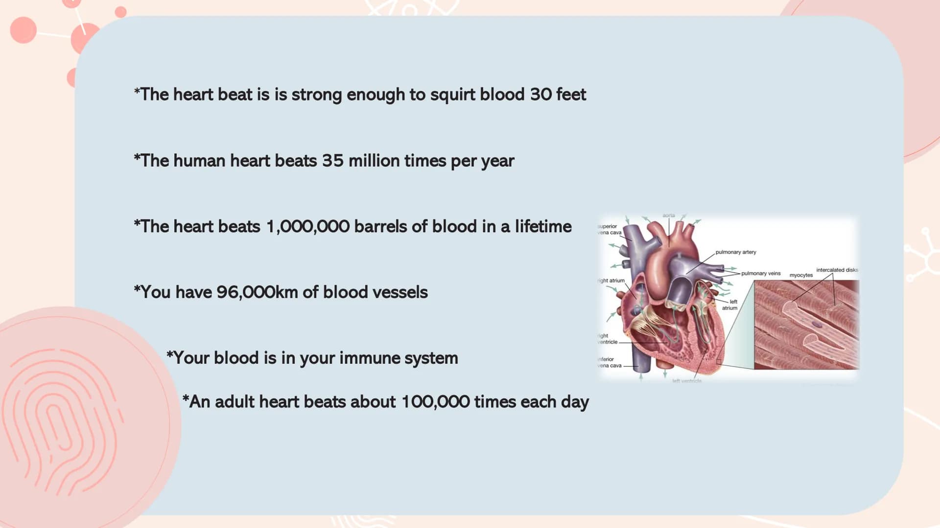 # TYPES OF
# MUSCLES # What are the muscles?
The muscles of the human muscular system are composed of a kind of elastic
tissue. Every movem