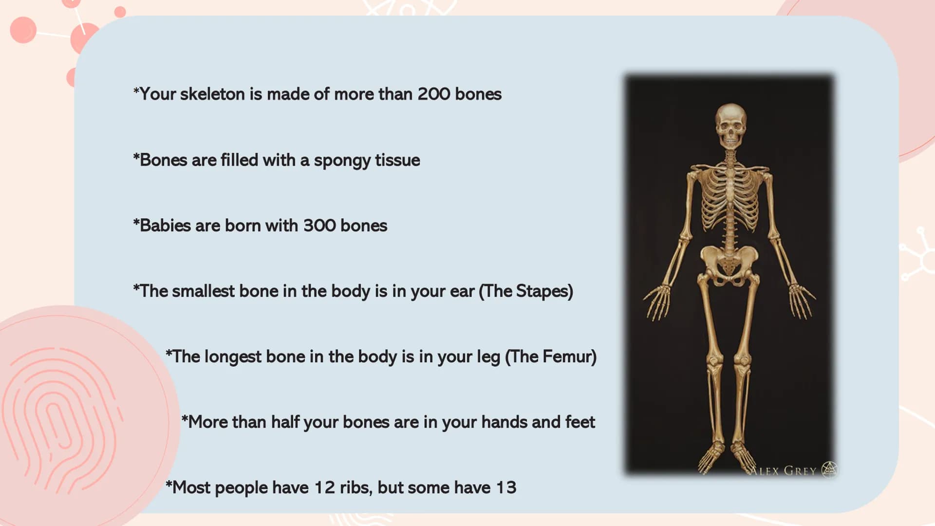 # TYPES OF
# MUSCLES # What are the muscles?
The muscles of the human muscular system are composed of a kind of elastic
tissue. Every movem