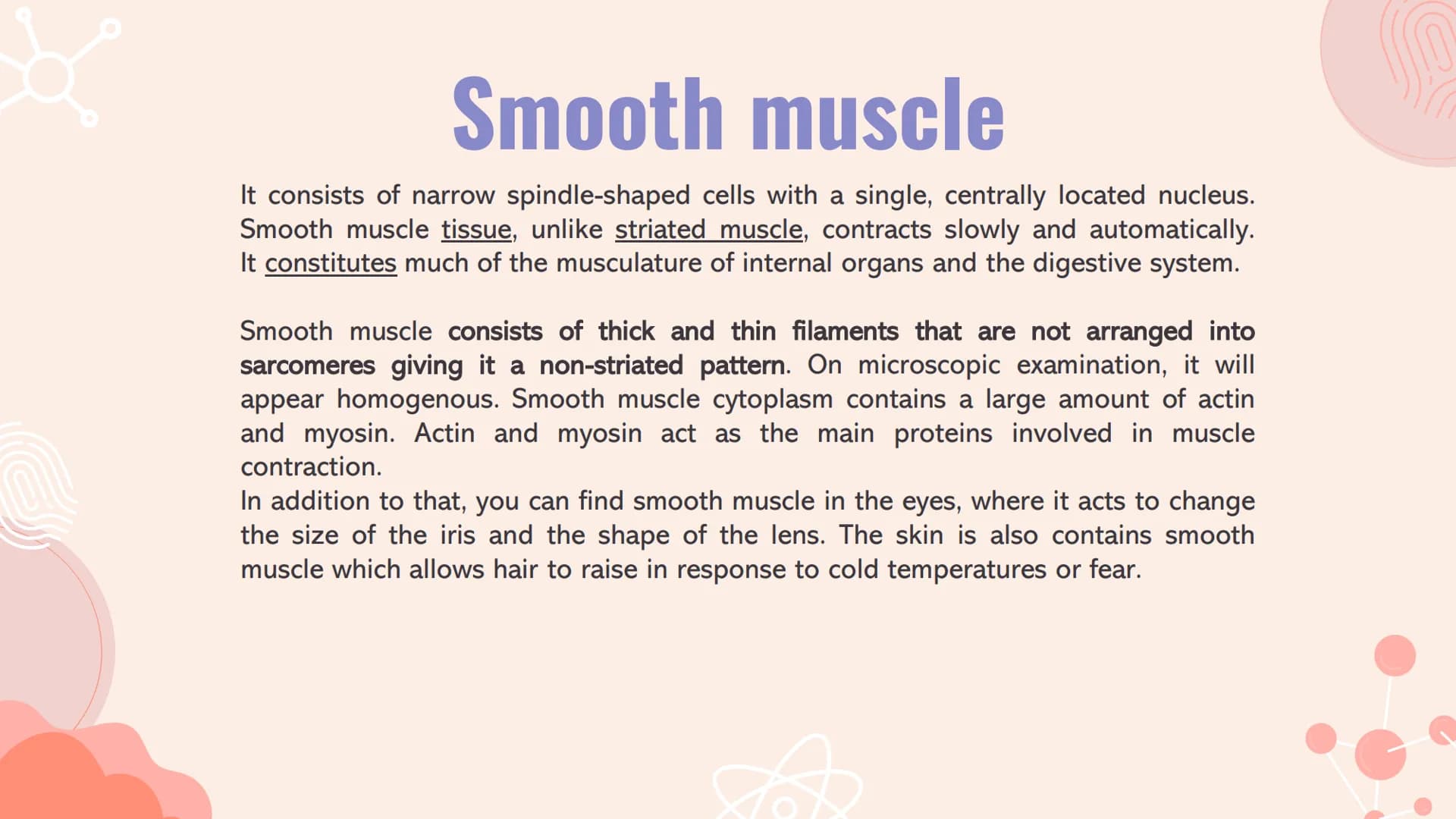 # TYPES OF
# MUSCLES # What are the muscles?
The muscles of the human muscular system are composed of a kind of elastic
tissue. Every movem