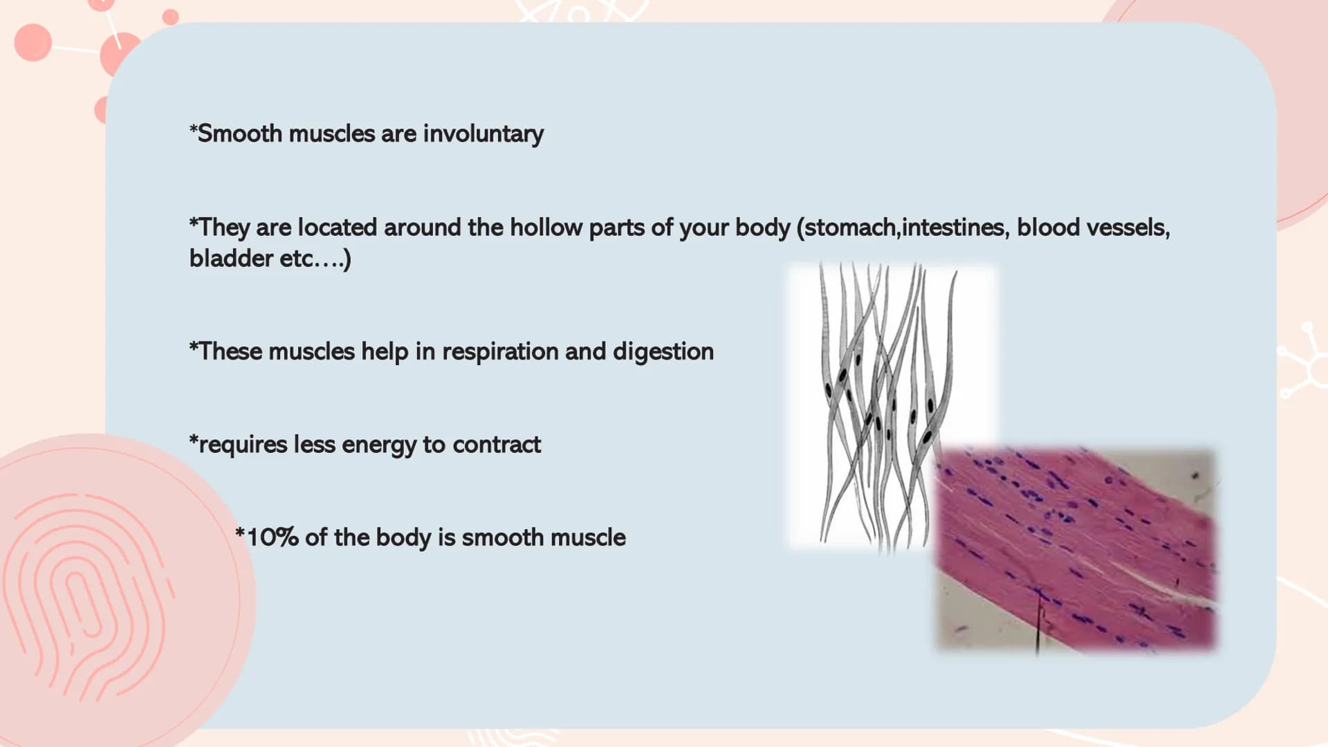 # TYPES OF
# MUSCLES # What are the muscles?
The muscles of the human muscular system are composed of a kind of elastic
tissue. Every movem