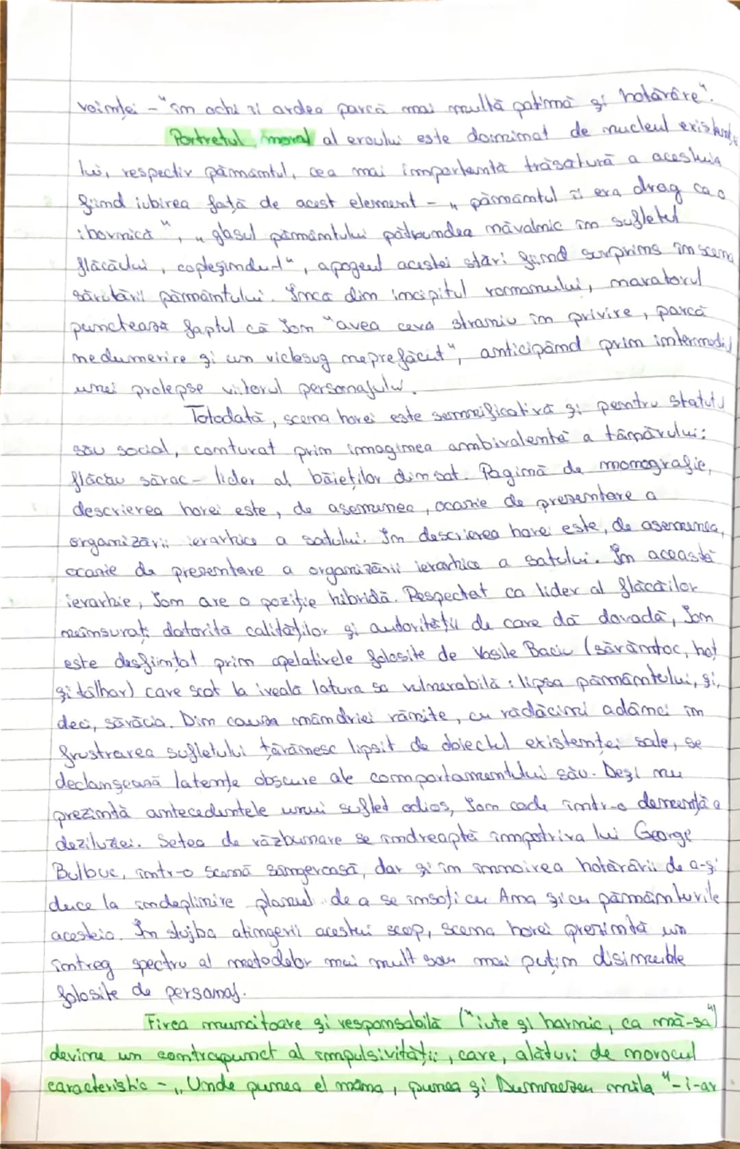 # Caracterizarea lui Som
Cuprinsă între 1918 şi 1939, perioada imterbelică se
evidenţiată în literatură printr-o deosebită dezvoltare a rom