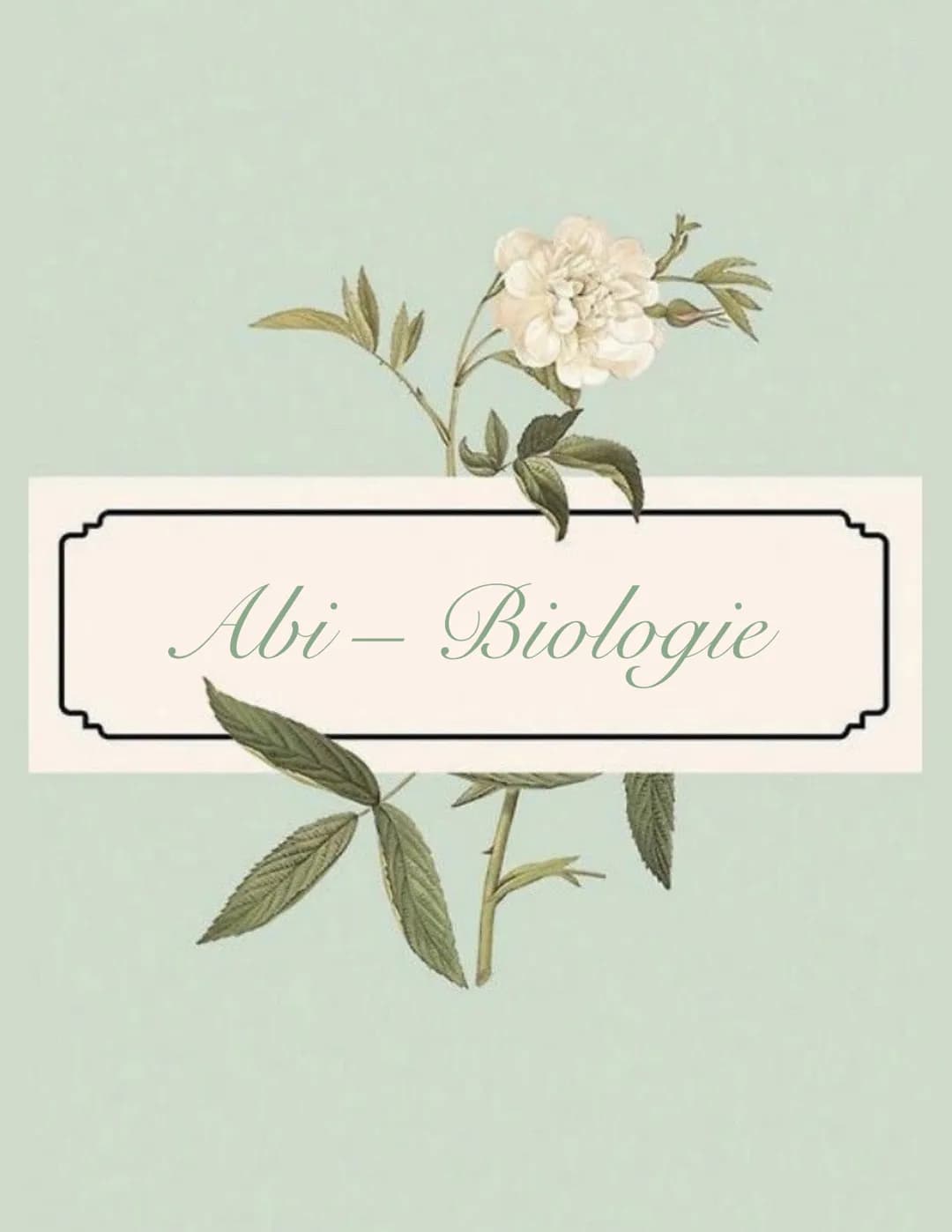 Abi - Biologie # Bio Abitur - Zellbiologie
Zelltypen
10-30 μπ
Tierzelle
Eukaryoten Mensch, Pflanze, Pilze
Pflanzen
Zelle
Prokaryot Bakter