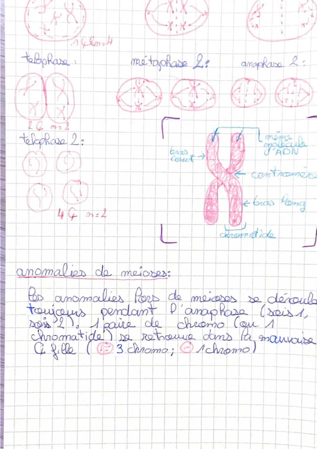 Vocabulaire:
Gene = port de chromosomes formé
I une séquence d'AON qui perte une
info code servant à la syntese d'ume
proteine.
ADN- Acide