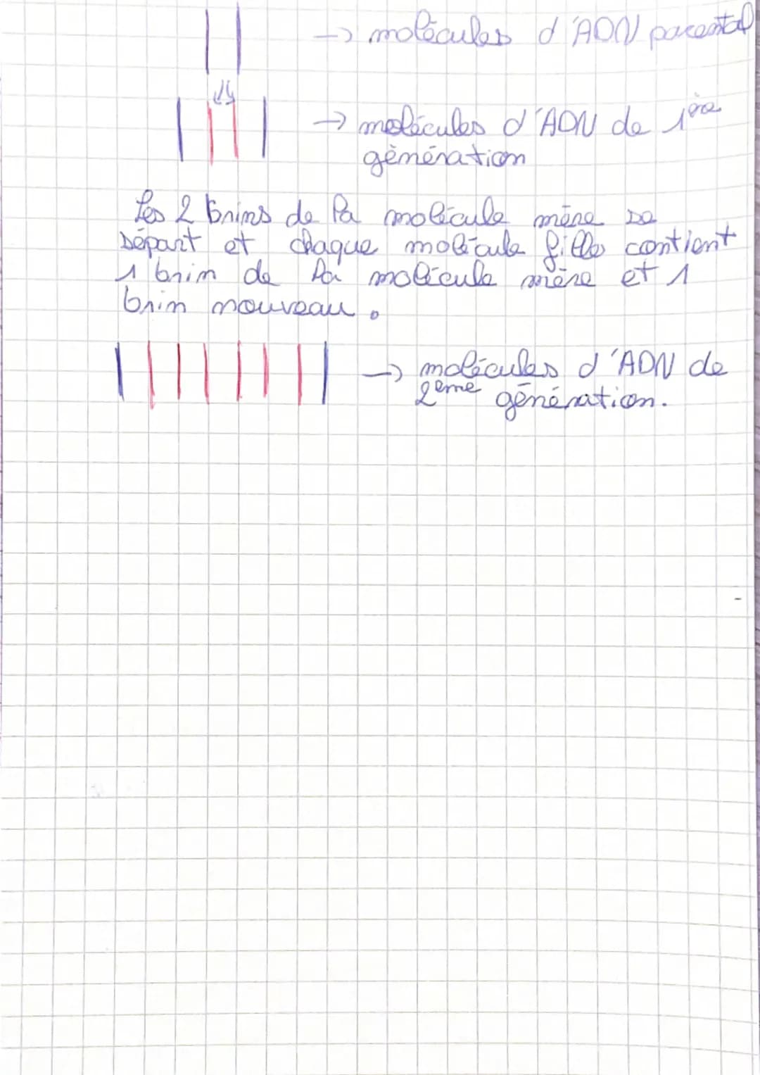 Vocabulaire:
Gene = port de chromosomes formé
I une séquence d'AON qui perte une
info code servant à la syntese d'ume
proteine.
ADN- Acide