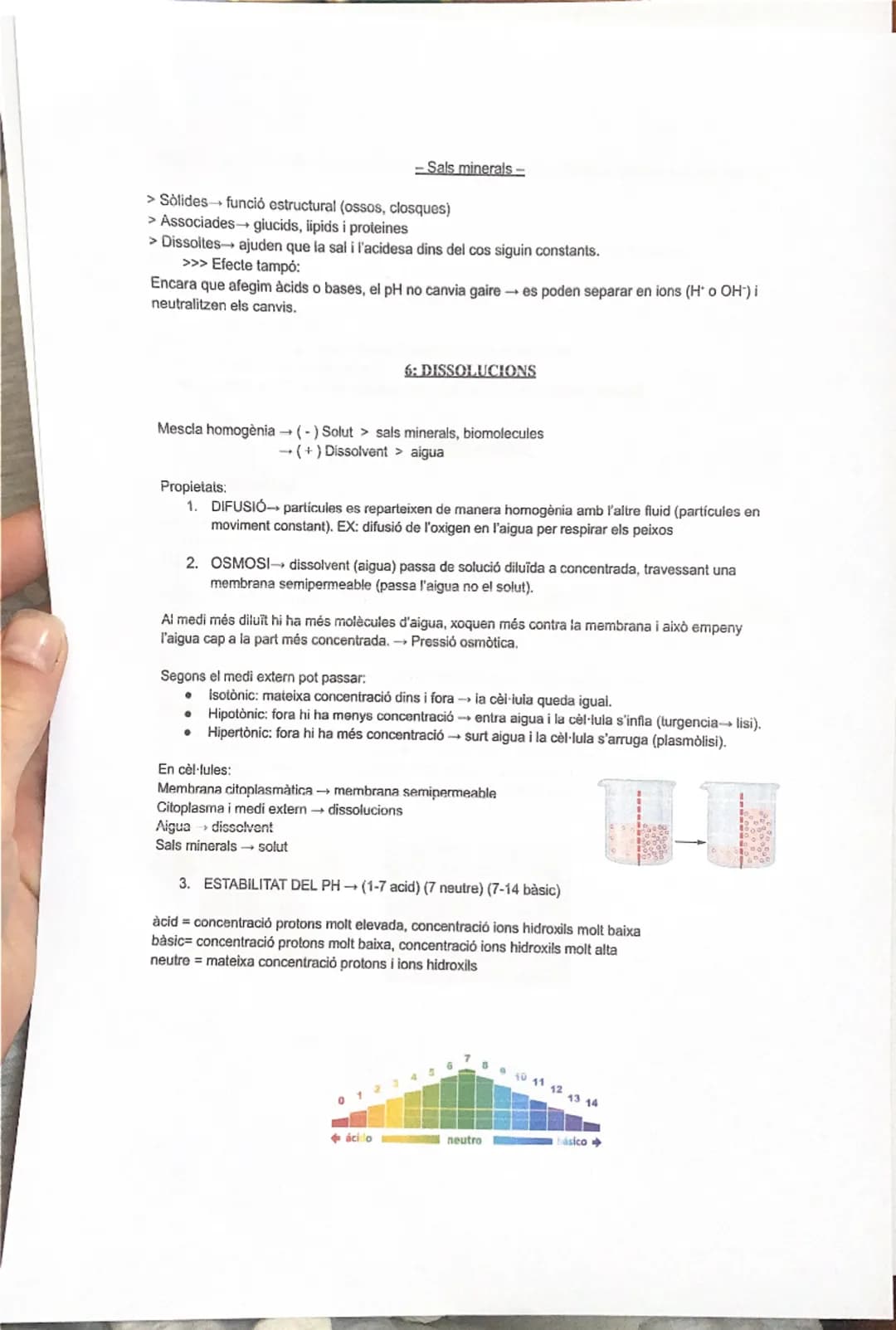 # 1: LA BIOLOGIA I ELS ÉSSERS VIUS
Els organismes vius fan les 3 funcions vitals:
1. Nutrició (alimentació, digestió, excreció, respiració