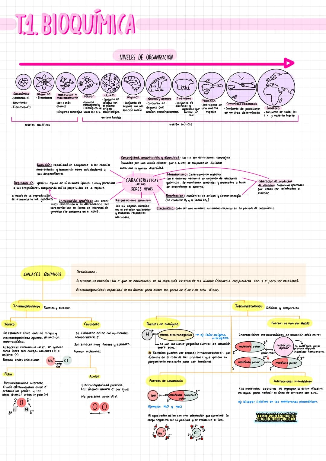 # T.1. BIOQUÍMICA
NIVELES DE ORGANIZACIÓN
ות
Población
Individuos de Comunidad/biocenosis
aparatos que una misma
especie
Conjunto de pobl