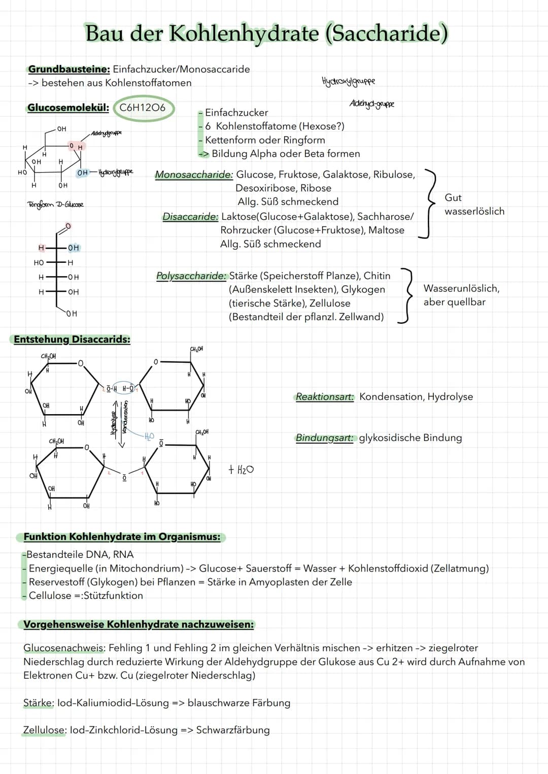 # Bau der Kohlenhydrate (Saccharide)
Grundbausteine: Einfachzucker/Monosaccaride
-> bestehen aus Kohlenstoffatomen
Glucosemolekül: C6H1206