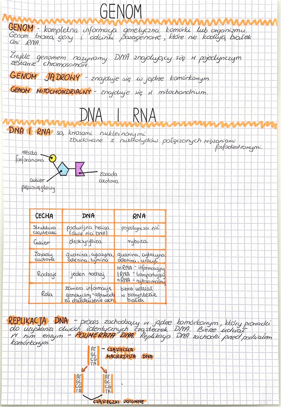 # GEN
GENY sa, podstanorrymi jednostkami dziedziczenia.
Pojedynczy
GEN to fragment DNA, który zanie zawiera informaye, dotyczącą
budowy bia