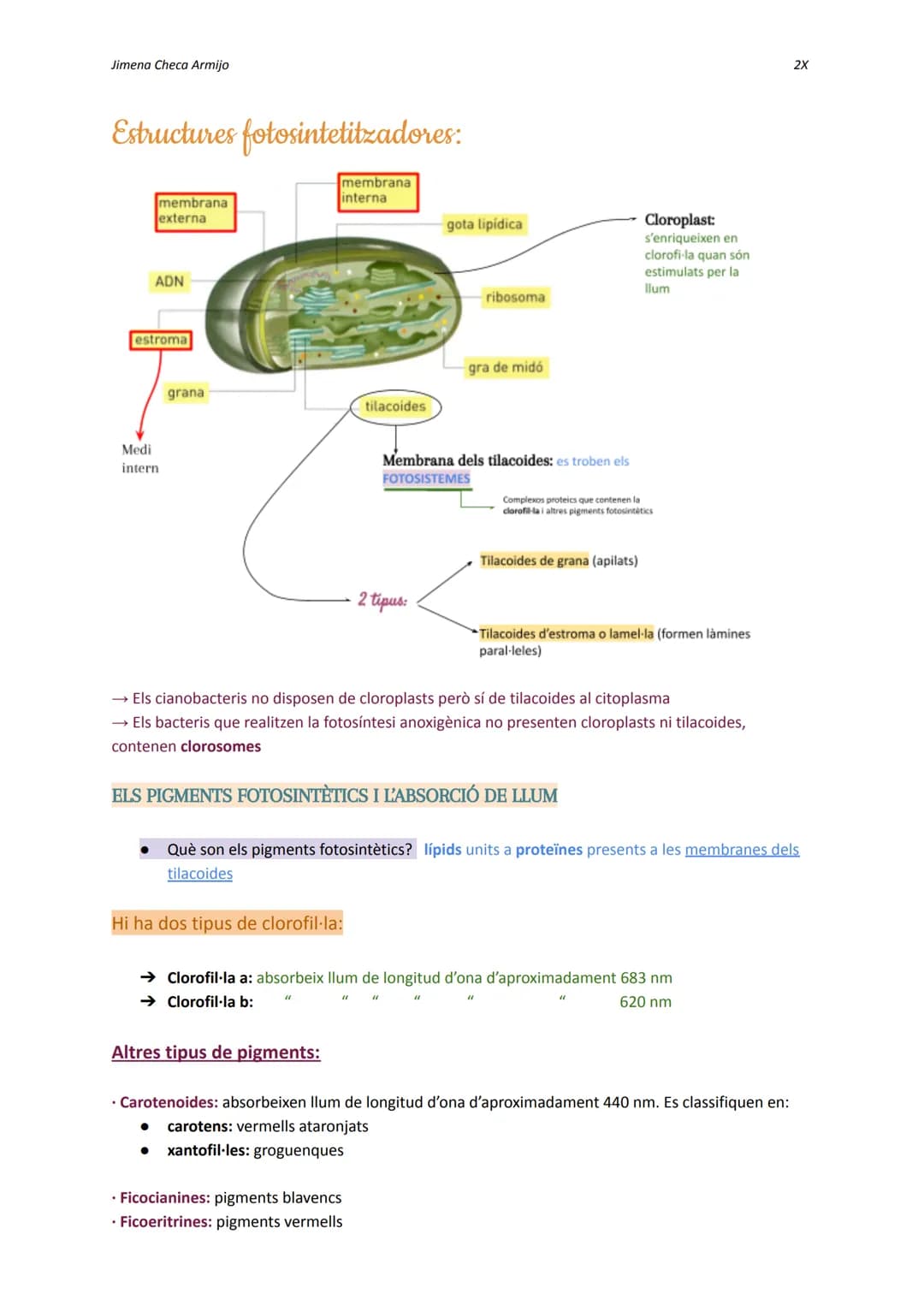 Jimena Checa Armijo
ANABOLISME AUTOTROF
Què és l'ANABOLISME? Via constructiva del metabolisme, és a dir, es fa una síntesi de
molècules co