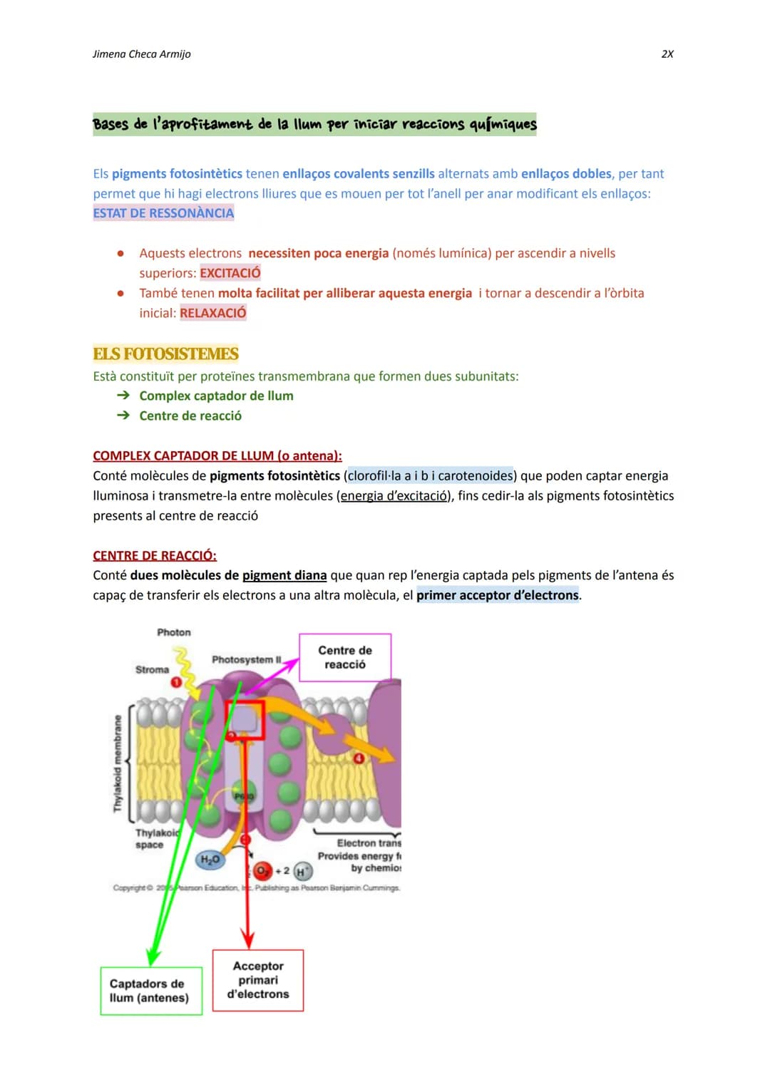 Jimena Checa Armijo
ANABOLISME AUTOTROF
Què és l'ANABOLISME? Via constructiva del metabolisme, és a dir, es fa una síntesi de
molècules co