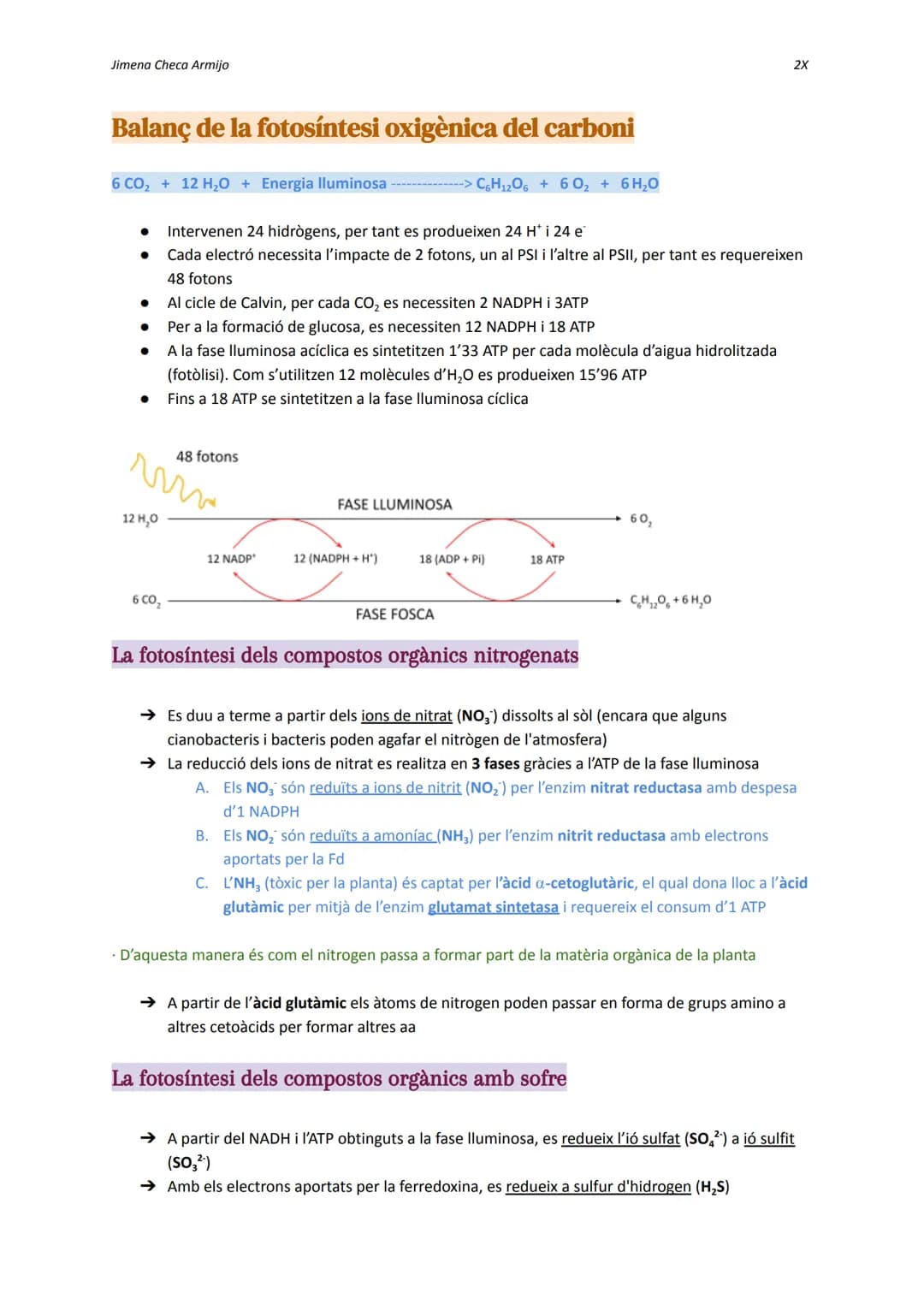 Jimena Checa Armijo
ANABOLISME AUTOTROF
Què és l'ANABOLISME? Via constructiva del metabolisme, és a dir, es fa una síntesi de
molècules co
