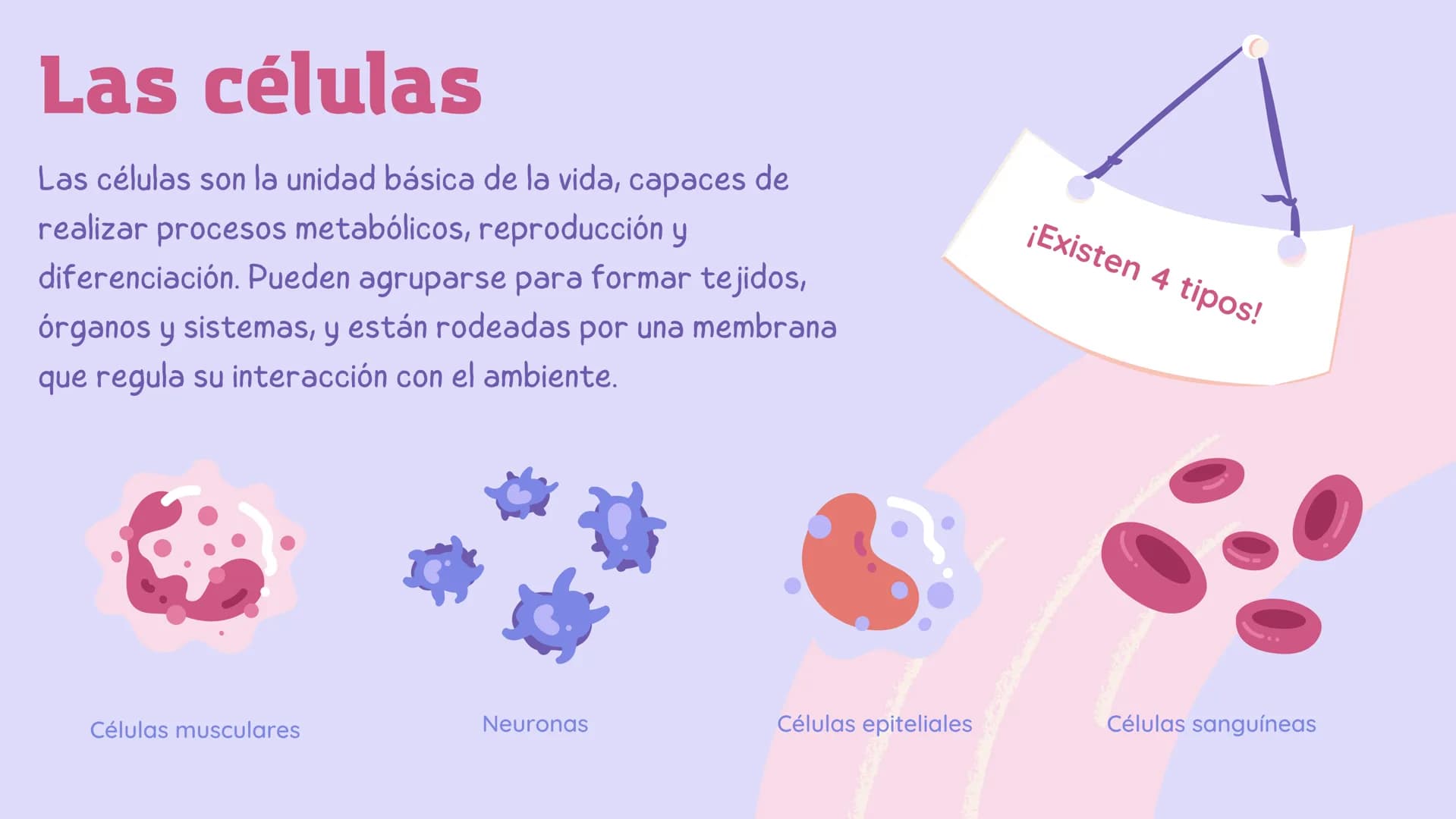 El
funcionamiento
del cuerpo
humano Contenidos
1. Conoce el cuerpo humano
2. ¿Qué ciencia lo estudia?
3. Las células
4. Los sistemas # Cono