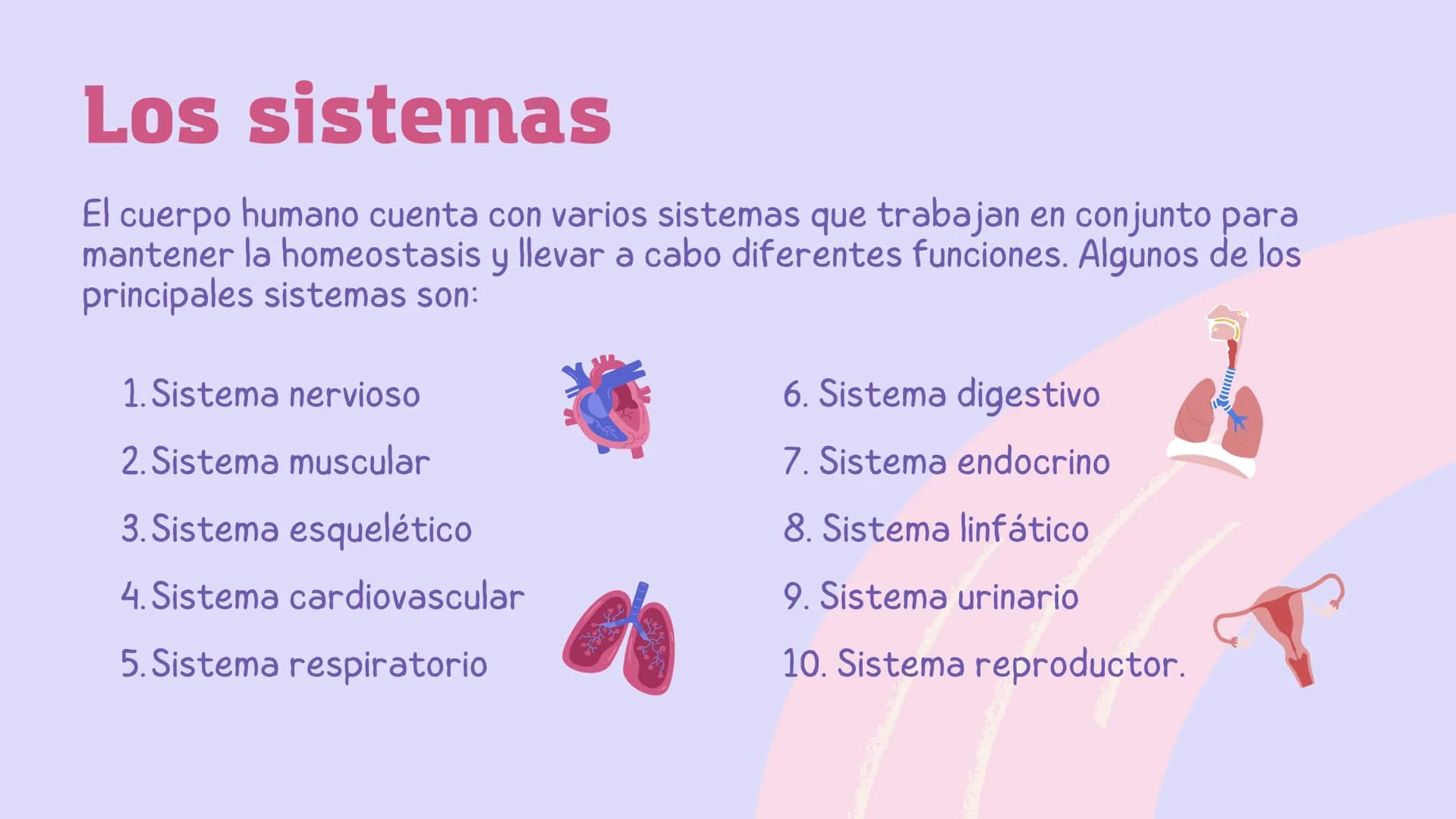 El
funcionamiento
del cuerpo
humano Contenidos
1. Conoce el cuerpo humano
2. ¿Qué ciencia lo estudia?
3. Las células
4. Los sistemas # Cono