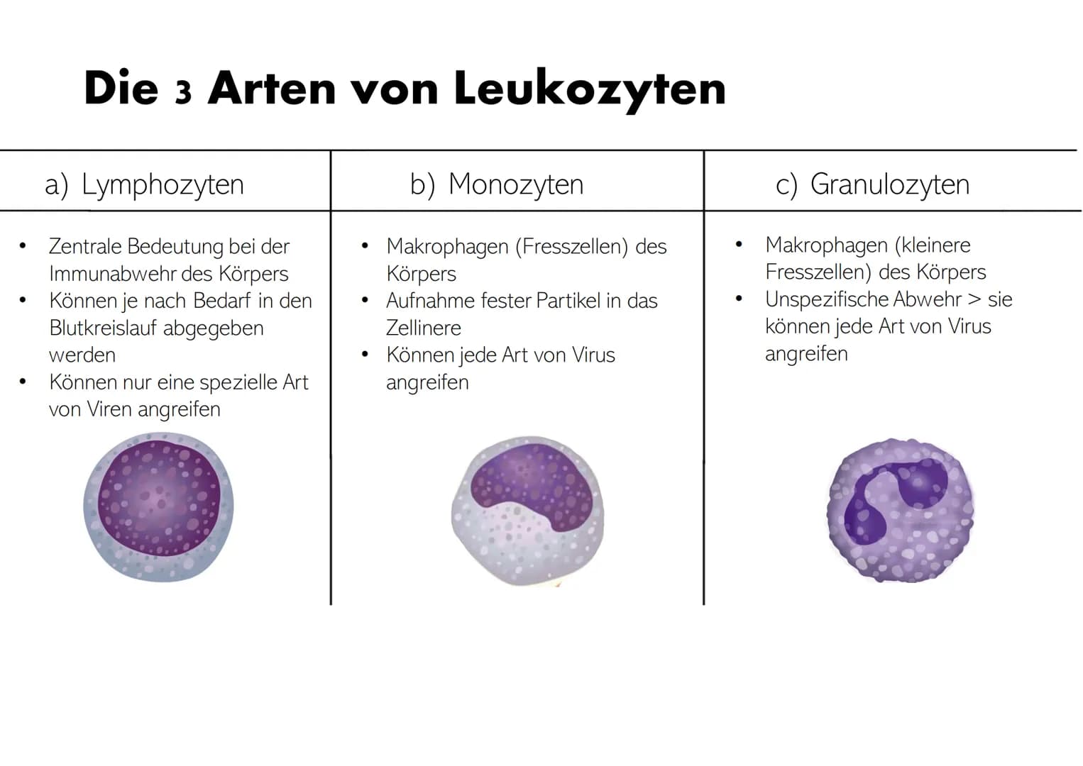 # Die Zusammensetzung und Aufgaben des Blutes Gliederung
• Was ist eigentlich Blut?
• Zusammensetzungen & Aufgaben von Blut
• Blutplasma
•