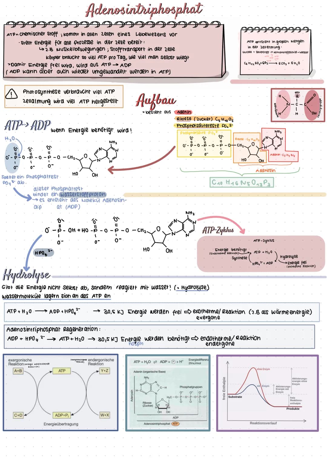 # Adenosintriphosphat
22222222222222222222
ATP chemischer Stoffi kommt in allen zellen eines Lebewesens vor
Stellt Energie für alle prozess