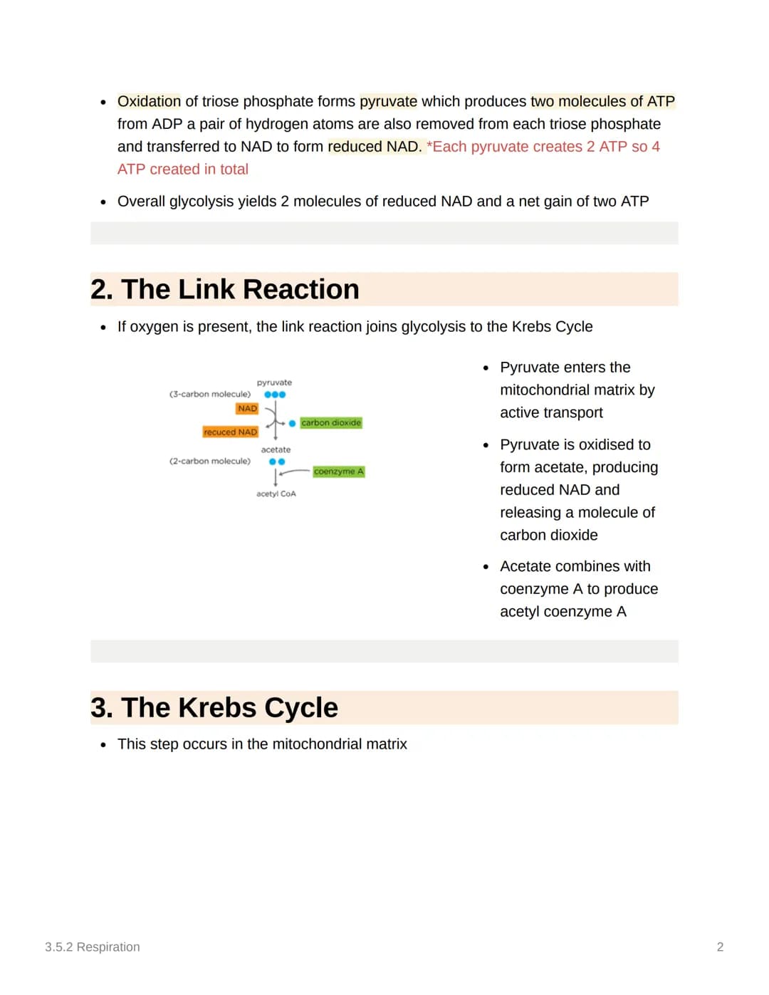 <h2>Glycolysis</h2>
<p>Glycolysis occurs in the cytoplasm and is the first stage in both aerobic and anaerobic respiration. During this pro