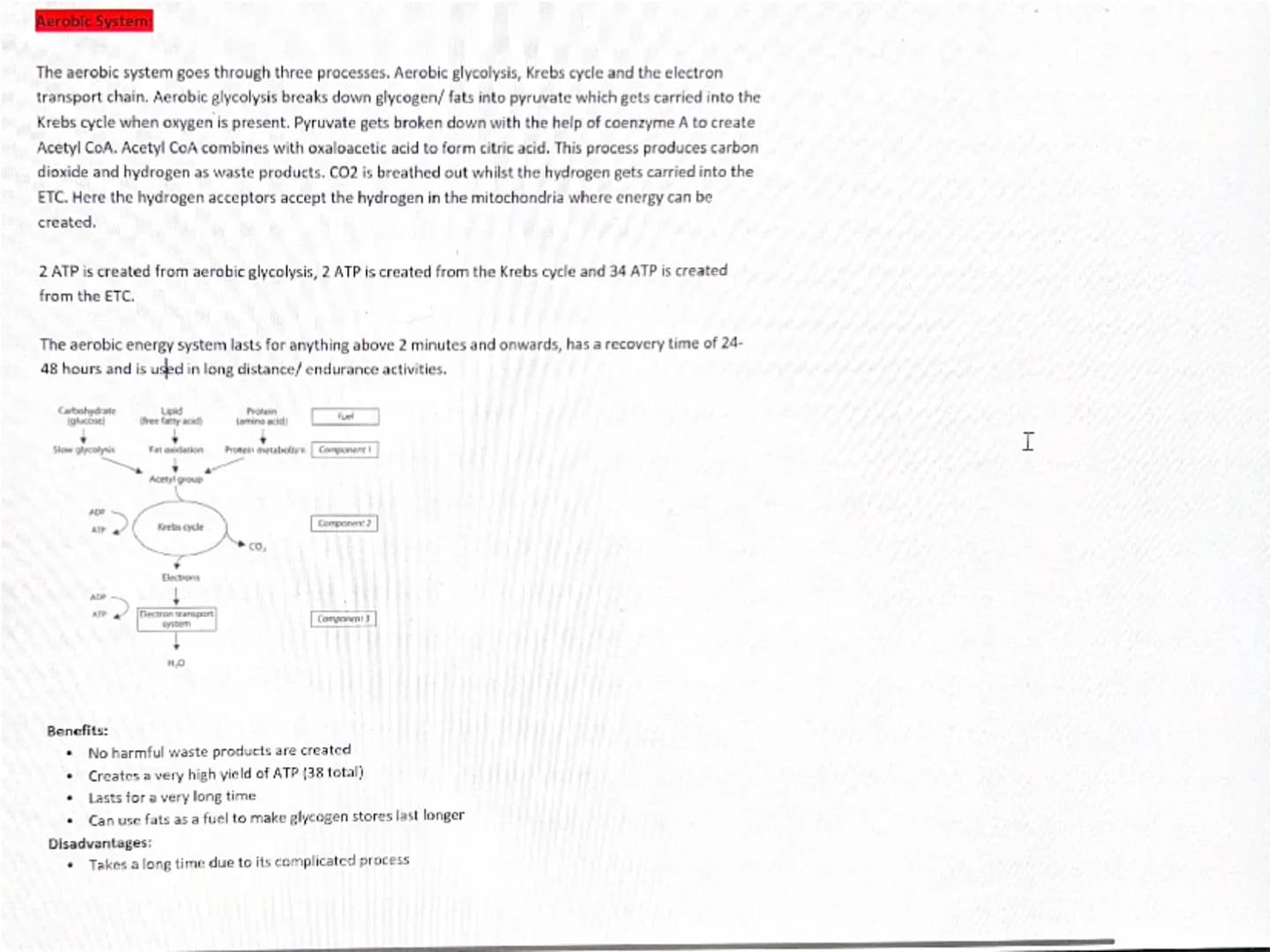 # Energy Systems
Sunday, December 29, 2024 1:41 PM
The role of ATP in the body:
- ATP is stored in muscles
- It is the only chemical compou