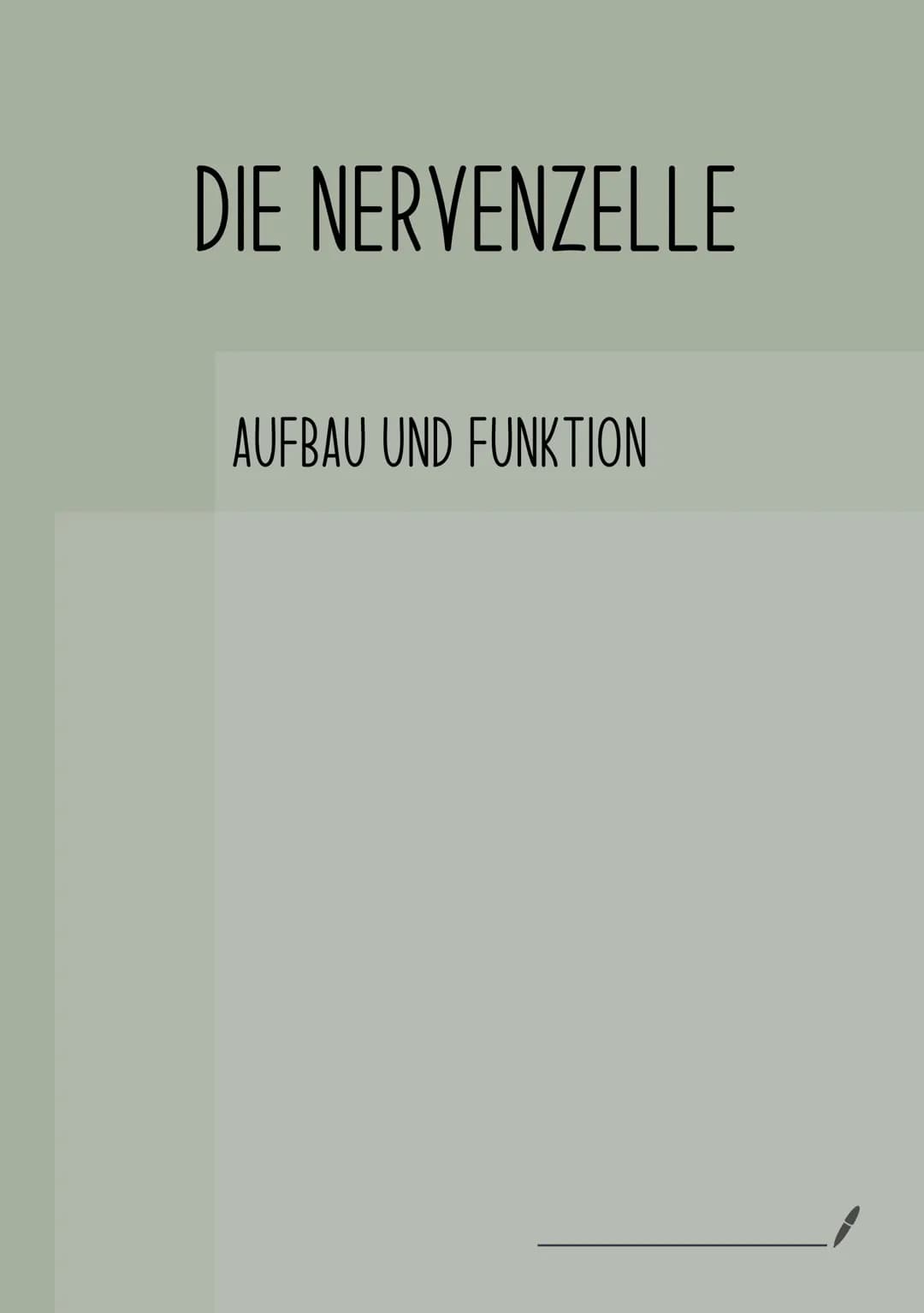 # DIE NERVENZELLE
AUFBAU UND FUNKTION # Die Nervenzelle
Aufbau und Funktion
Bau einer Nervenzelle:
Nervenzellen (Neuronen) sind
die Informa