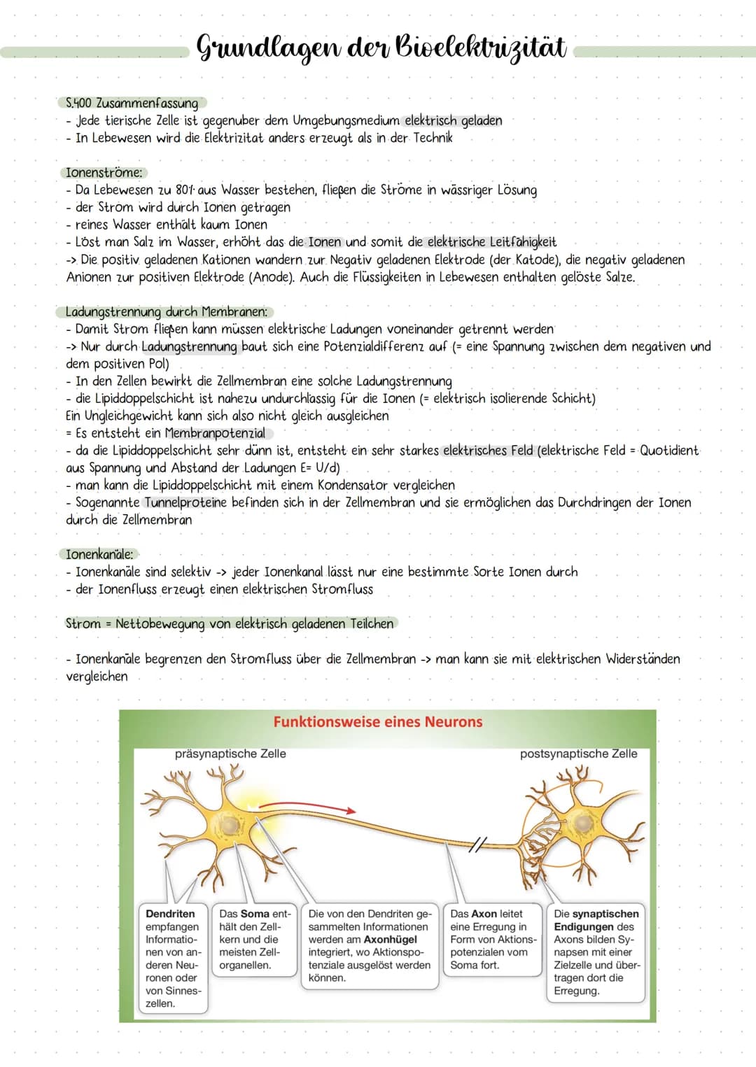 # DIE NERVENZELLE
AUFBAU UND FUNKTION # Die Nervenzelle
Aufbau und Funktion
Bau einer Nervenzelle:
Nervenzellen (Neuronen) sind
die Informa