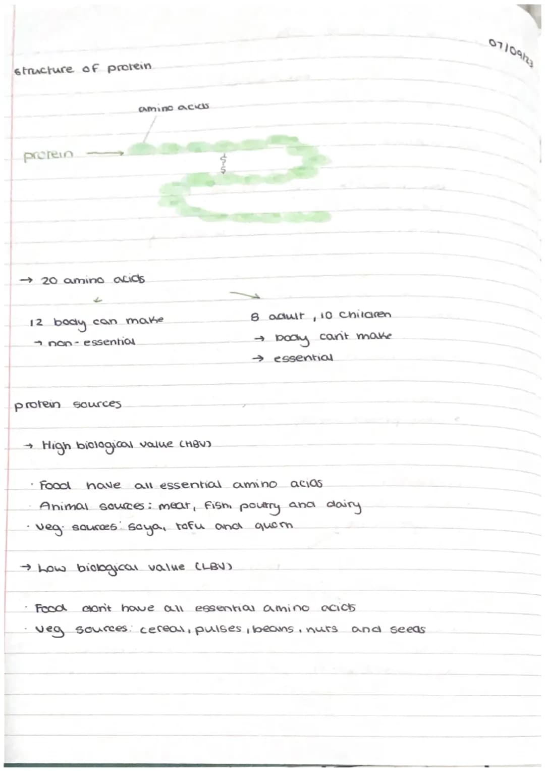 structure of protein.
protein
amino acics
→20 amino acids
12 body can make
non-essential
8 adult, 10 chilaren
→
body can't make
→ esse