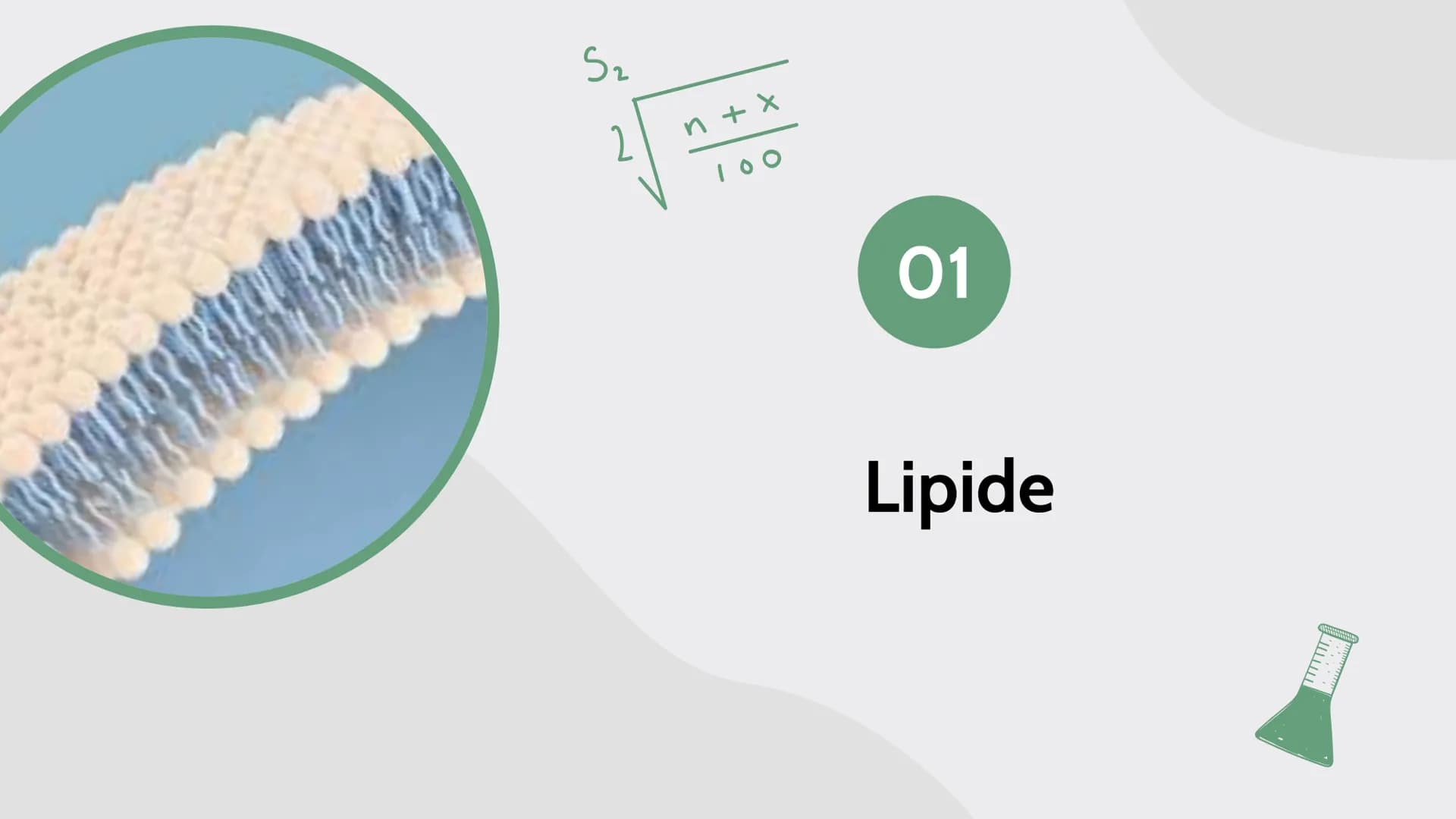 D
B
C
K
Lipide
von Maja, Sarah, Carla, Johanna und Assia
$A+B=C$ A+B=C
# Inhalt
01
# Lipide
- Was ist das?
- Verschiedene Arten
- gesätt