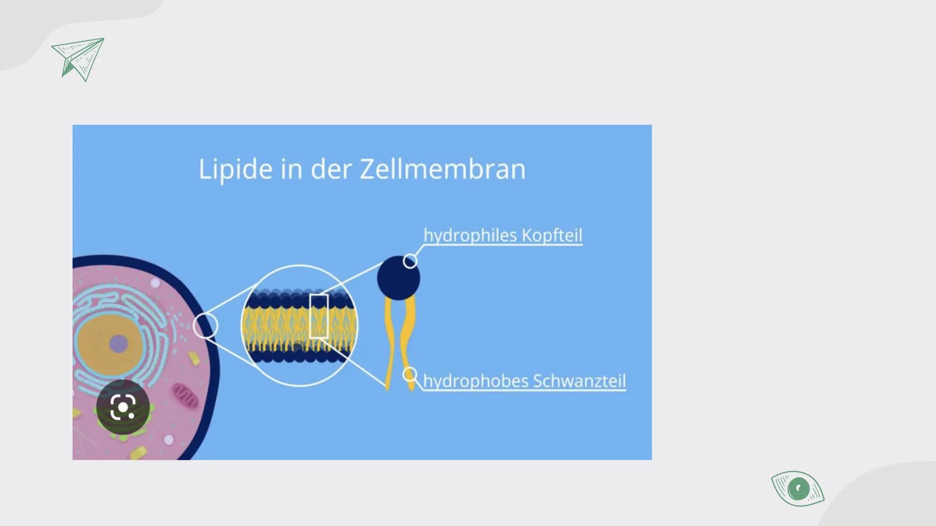 D
B
C
K
Lipide
von Maja, Sarah, Carla, Johanna und Assia
$A+B=C$ A+B=C
# Inhalt
01
# Lipide
- Was ist das?
- Verschiedene Arten
- gesätt