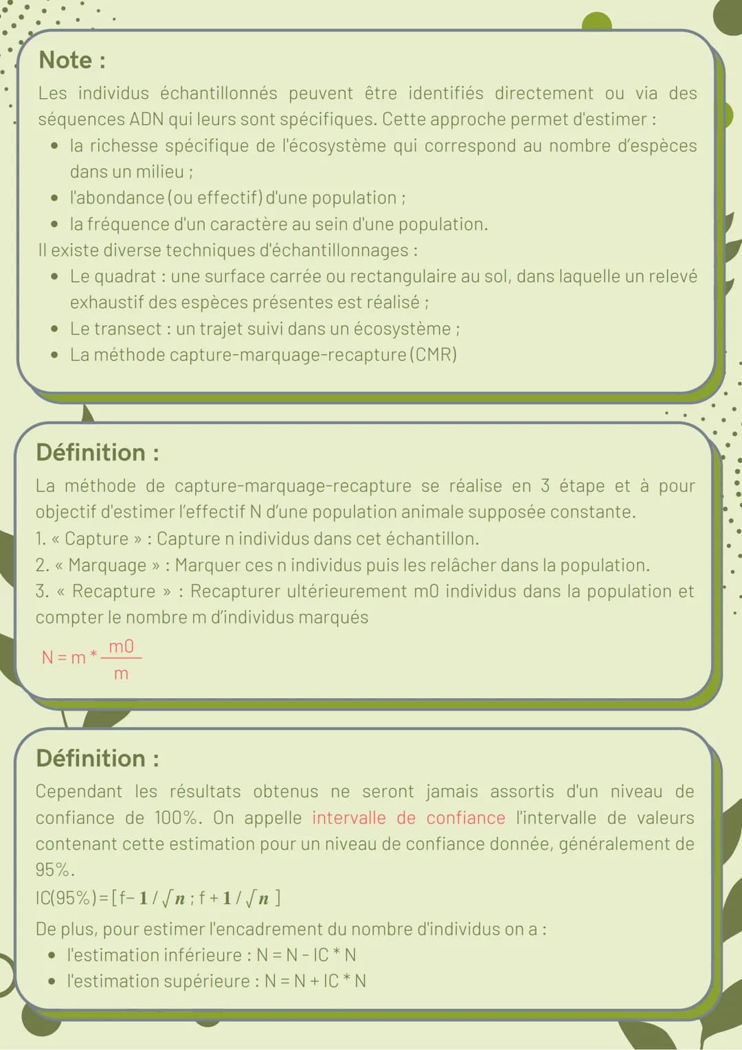 <h2>La biodiversité et son évolution</h2>
<h3>La biodiversité : définition et échelles</h3>
<p>Les trois niveaux de la biodiversité sont l