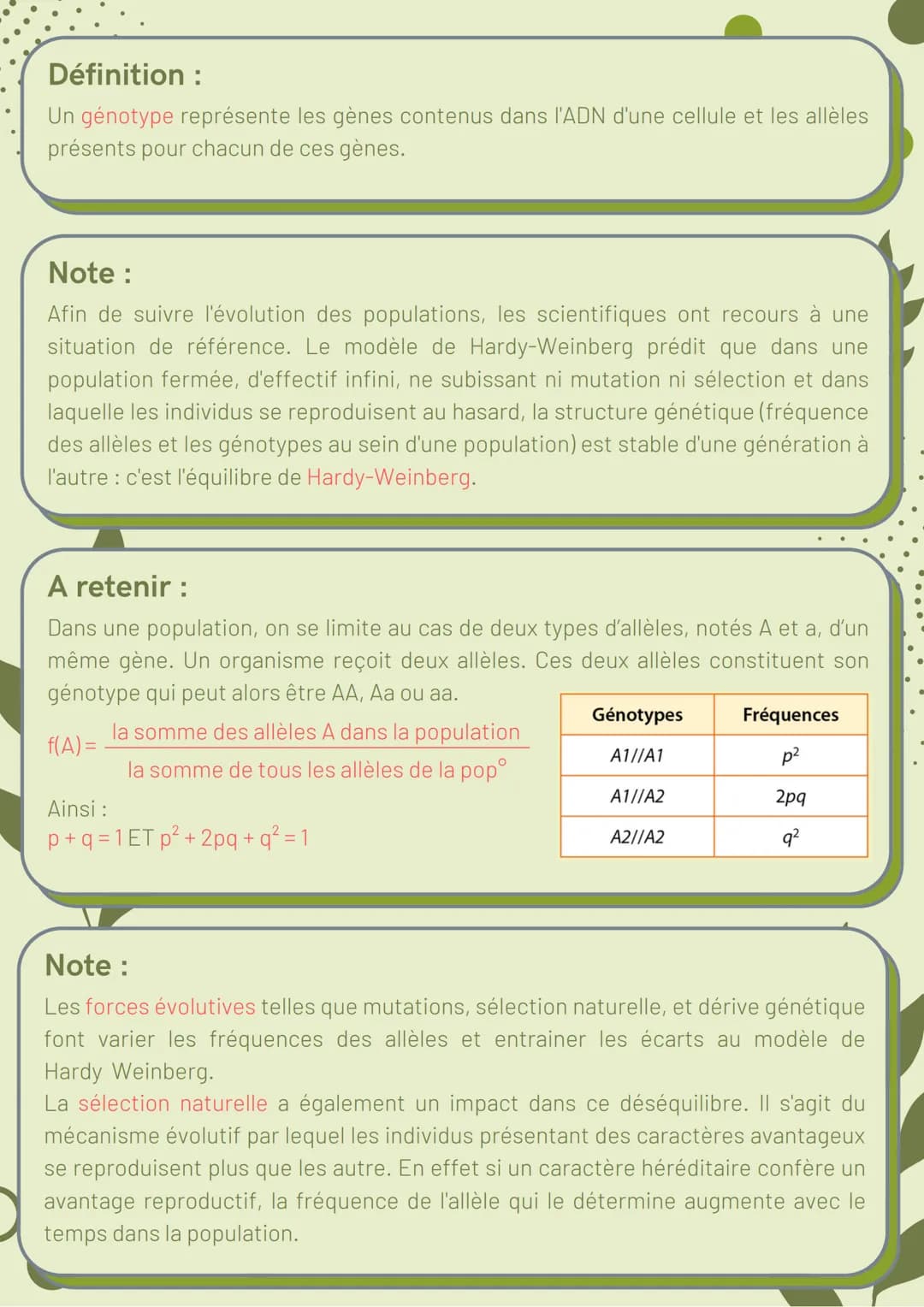 <h2>La biodiversité et son évolution</h2>
<h3>La biodiversité : définition et échelles</h3>
<p>Les trois niveaux de la biodiversité sont l