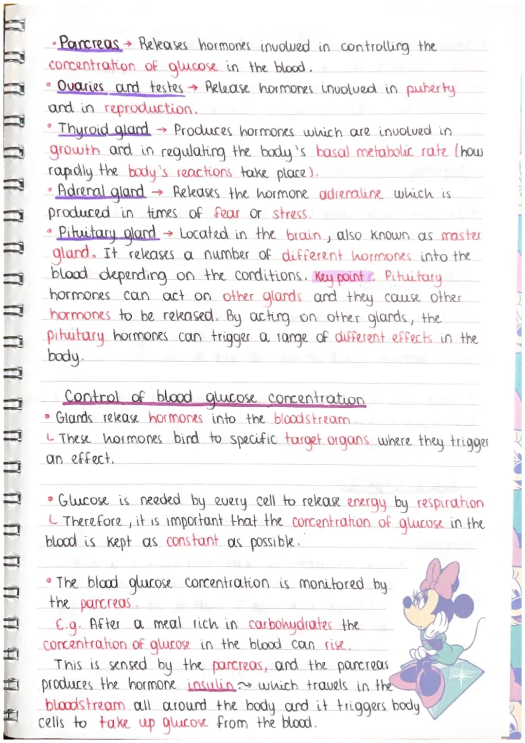 # THE ENDOCRINE SYSTEM
• A key feature of the nervous system is that it is extremely.
fast. However, the effects of the nervous.
system ten