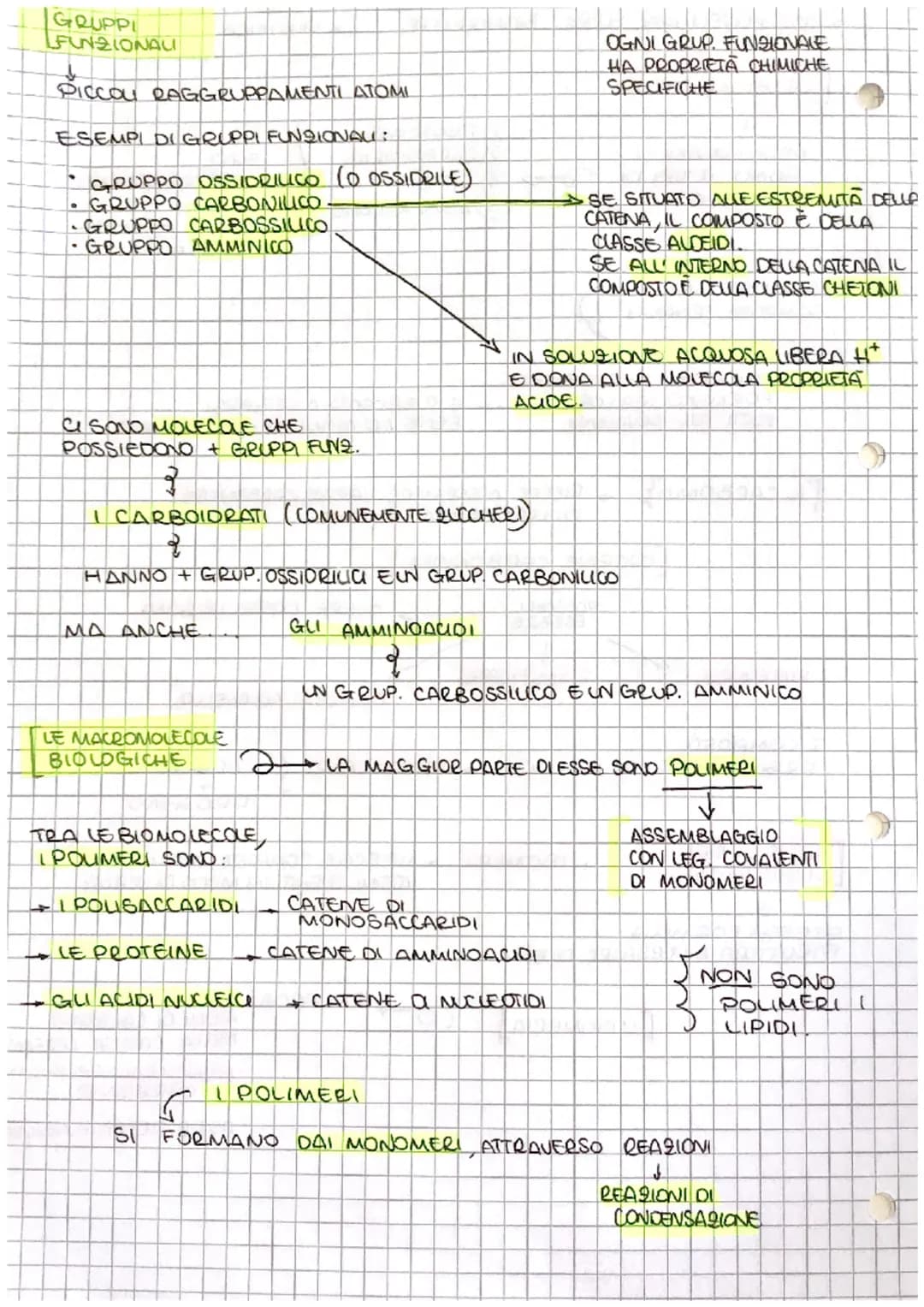 # S
[ve
# Le BIOMOLECOLE
↓
NEGLI UMANI A
* PROTEINE
* CARBOIDRATI
* LIPIDI
* ACIDI NUCLEIA
SONO 4 TIPI DI
MOLECOLE
SOND
COM