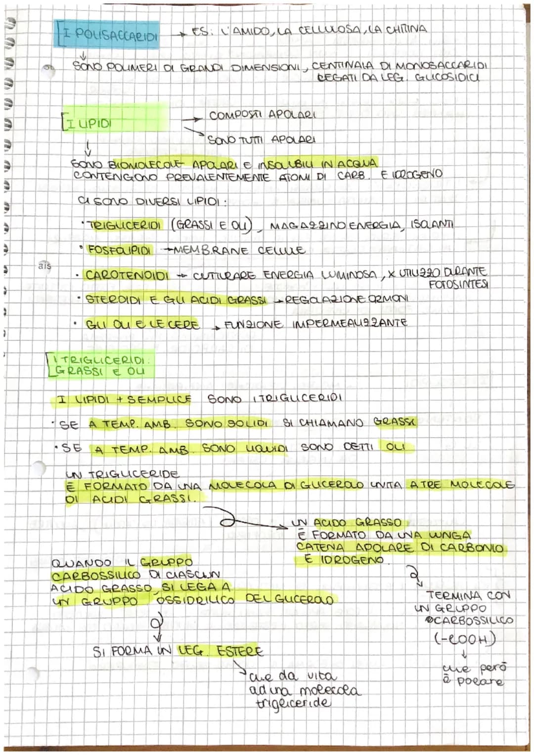 # S
[ve
# Le BIOMOLECOLE
↓
NEGLI UMANI A
* PROTEINE
* CARBOIDRATI
* LIPIDI
* ACIDI NUCLEIA
SONO 4 TIPI DI
MOLECOLE
SOND
COM