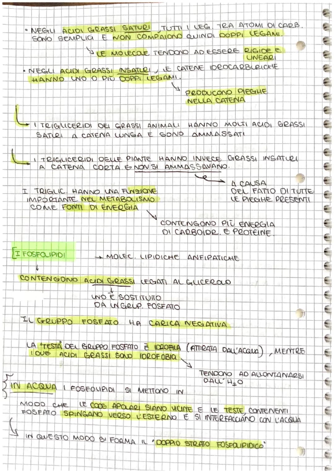 # S
[ve
# Le BIOMOLECOLE
↓
NEGLI UMANI A
* PROTEINE
* CARBOIDRATI
* LIPIDI
* ACIDI NUCLEIA
SONO 4 TIPI DI
MOLECOLE
SOND
COM