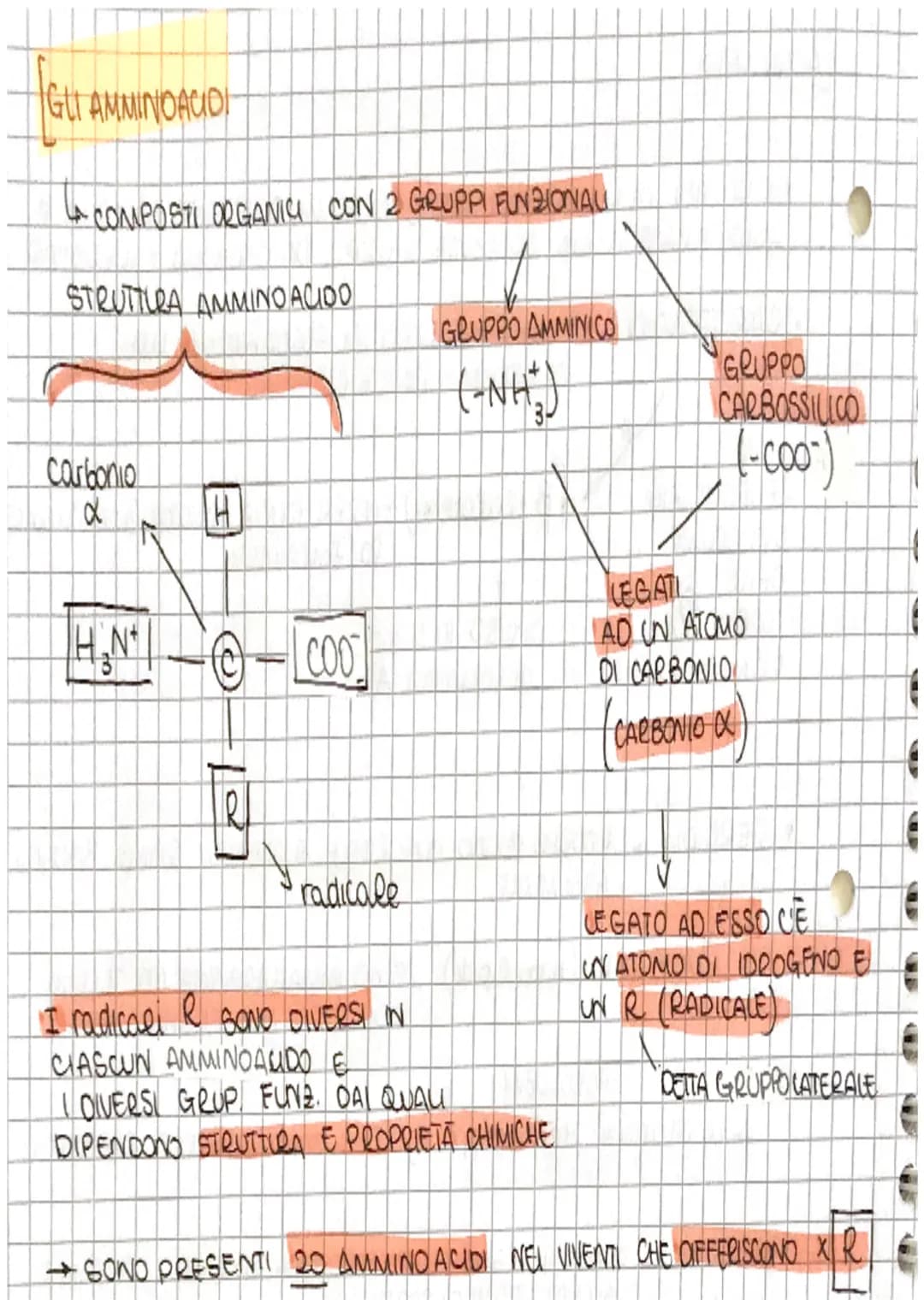 # S
[ve
# Le BIOMOLECOLE
↓
NEGLI UMANI A
* PROTEINE
* CARBOIDRATI
* LIPIDI
* ACIDI NUCLEIA
SONO 4 TIPI DI
MOLECOLE
SOND
COM