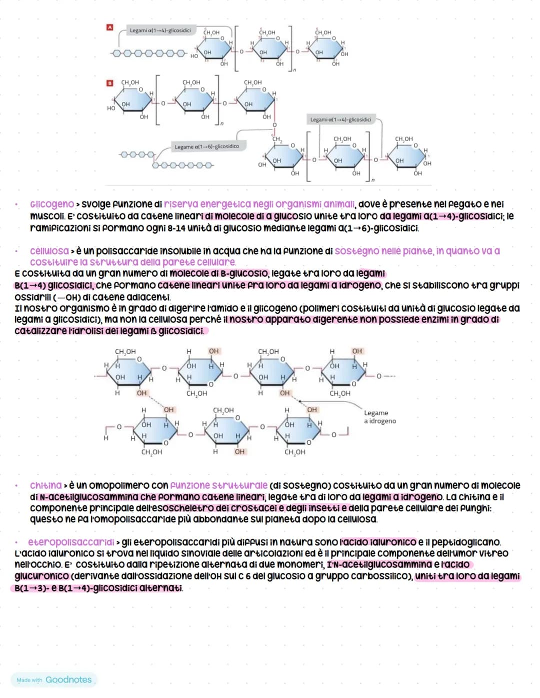 # Carboidrati
I carboidrati o glicidi sono biomolecole monometriche o polimeriche formate da due o più gruppi ossidrile (-он)
e da un grupp