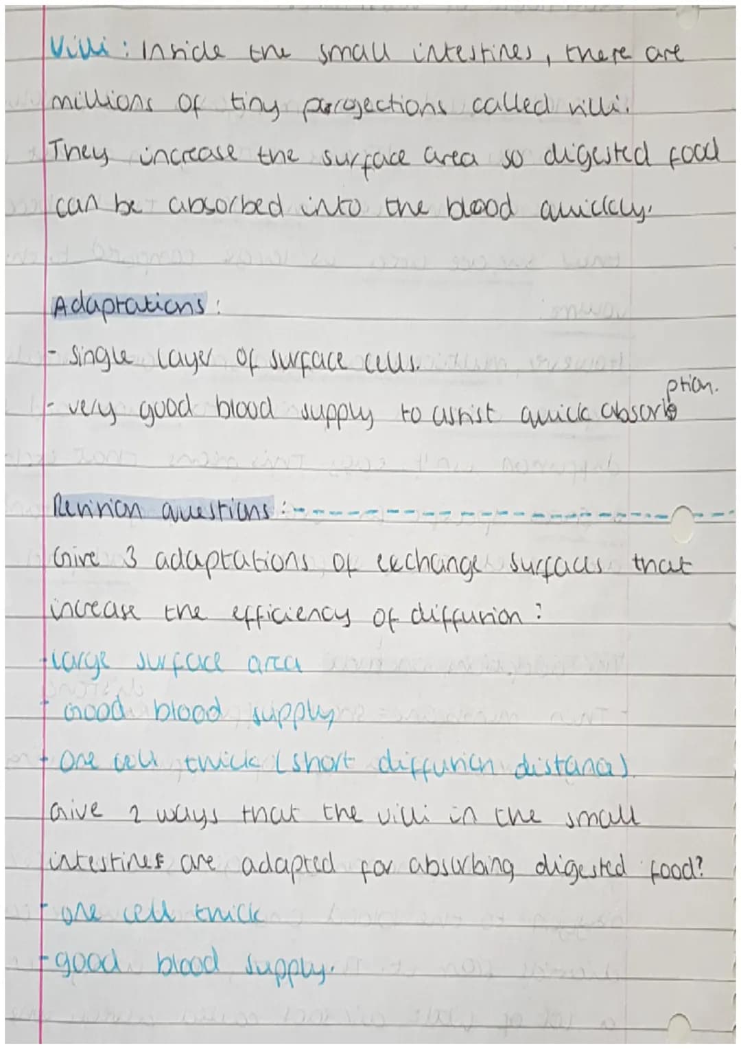 <h2>Cells</h2>
<p>Cells can be either prokaryotic or eukaryotic. Eukaryotic cells are found in animals and plants. Prokaryotic cells are si