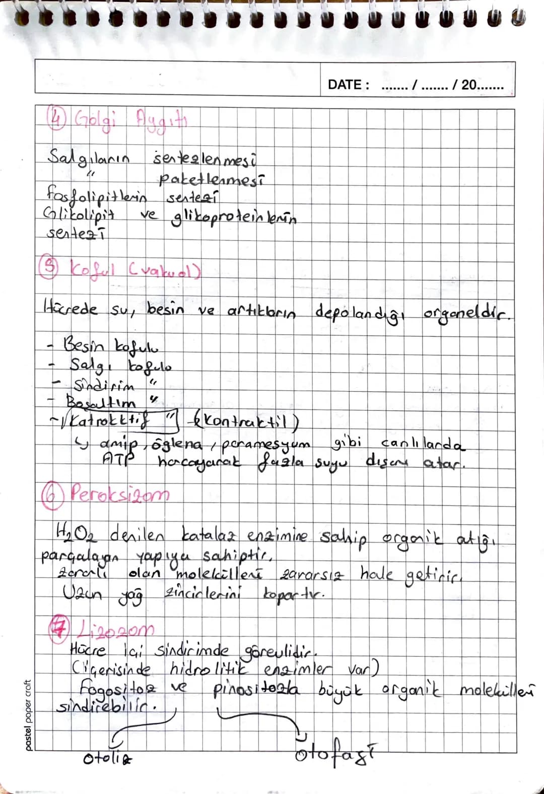 # 1. Ders - Bi40205
DATE: 27/09/20..20
Hücre zarının en önemi Özelliği seçici-geçisgen
yapıda olmasıdır.
Hücre zounin yapisi
J
Karbonhidrat