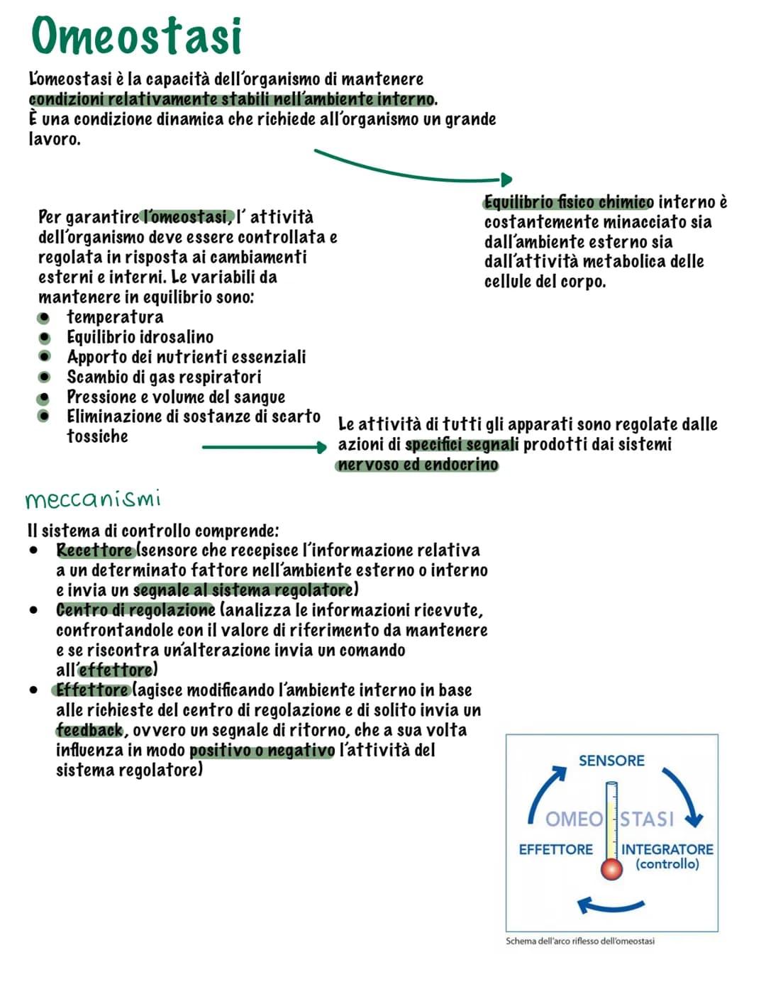 # I tessuti
Parte tutto dallo zigote, una
cellula diploide (mitosi, 23
coppie di cromosomi, stesso
materiale genetico)
Vi sono quattro tip
