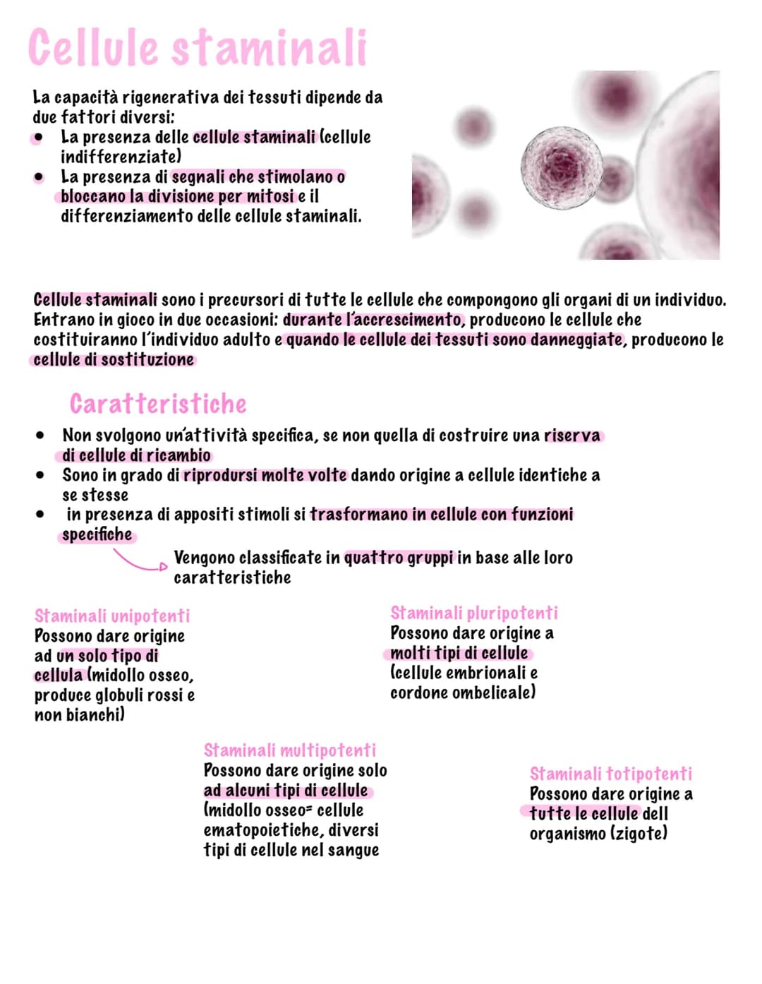 # I tessuti
Parte tutto dallo zigote, una
cellula diploide (mitosi, 23
coppie di cromosomi, stesso
materiale genetico)
Vi sono quattro tip