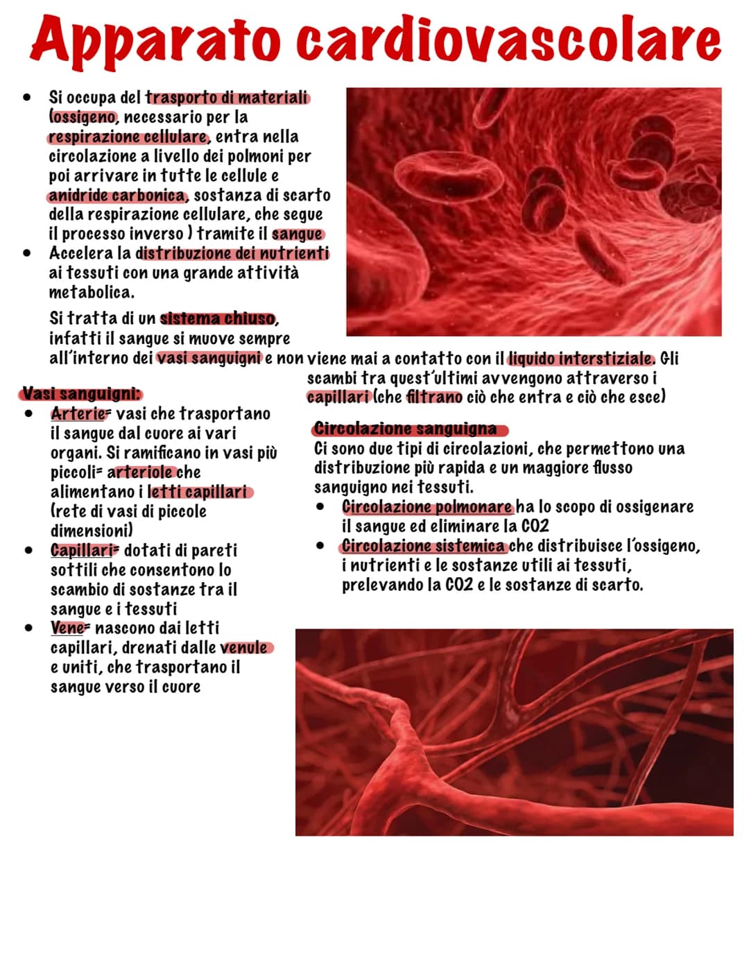 # I tessuti
Parte tutto dallo zigote, una
cellula diploide (mitosi, 23
coppie di cromosomi, stesso
materiale genetico)
Vi sono quattro tip