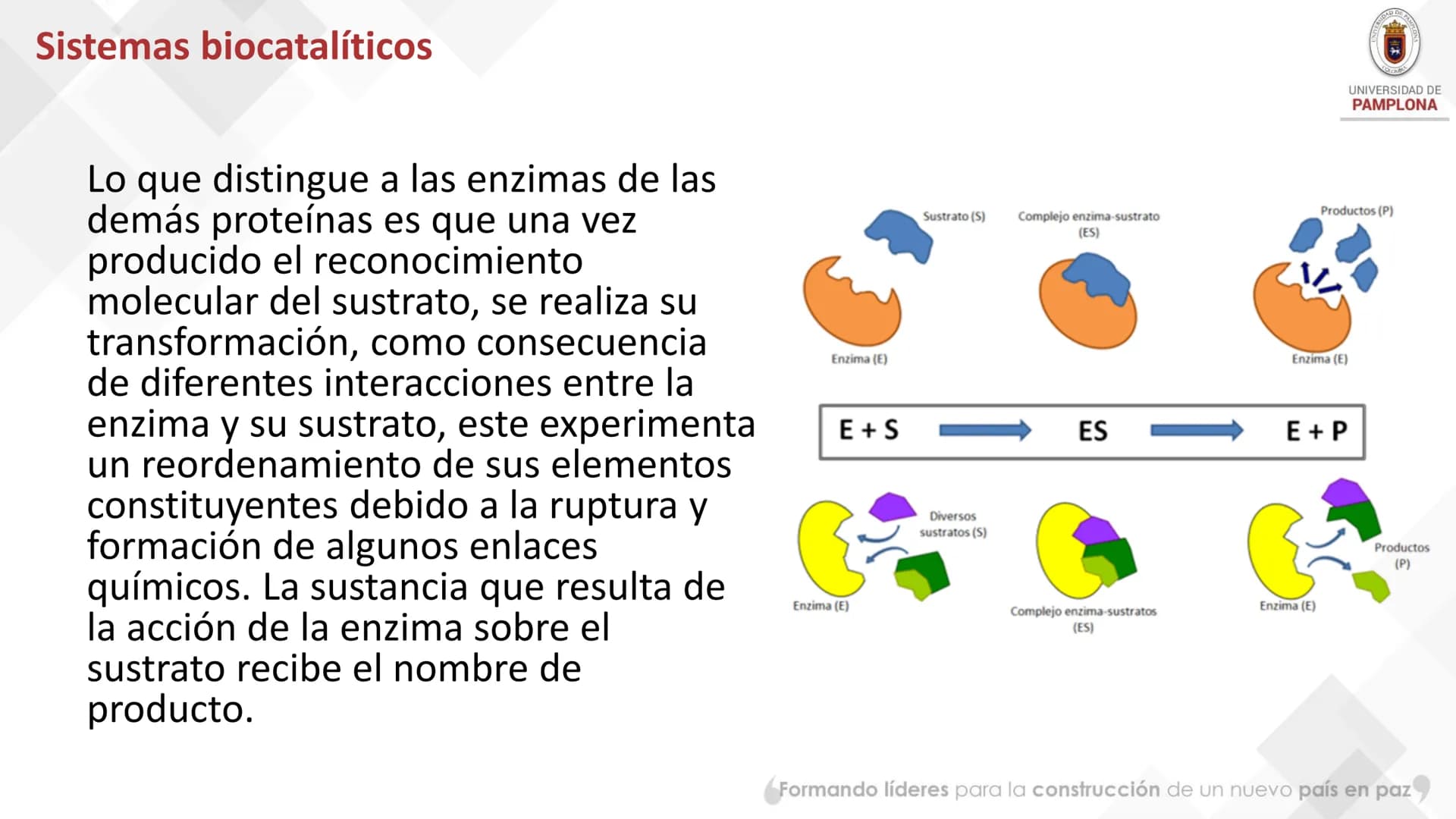 # Bioquímica Clínicaon
ENZIMOLOGÍA. Propiedades y nomenclatura, clases
de enzimas, principios generales de cinética, química
y enzimática,