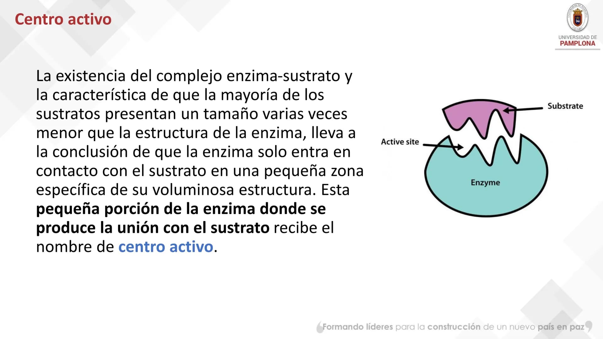 # Bioquímica Clínicaon
ENZIMOLOGÍA. Propiedades y nomenclatura, clases
de enzimas, principios generales de cinética, química
y enzimática,