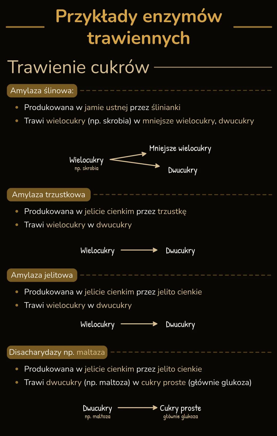 # PROCESY TRAWIENIA I WCHŁANIΑΝΙΑ
## Trawienie pokarmu
* Trawienie pokarmu - proces rozkładu złożonych związków organicznych
na pros