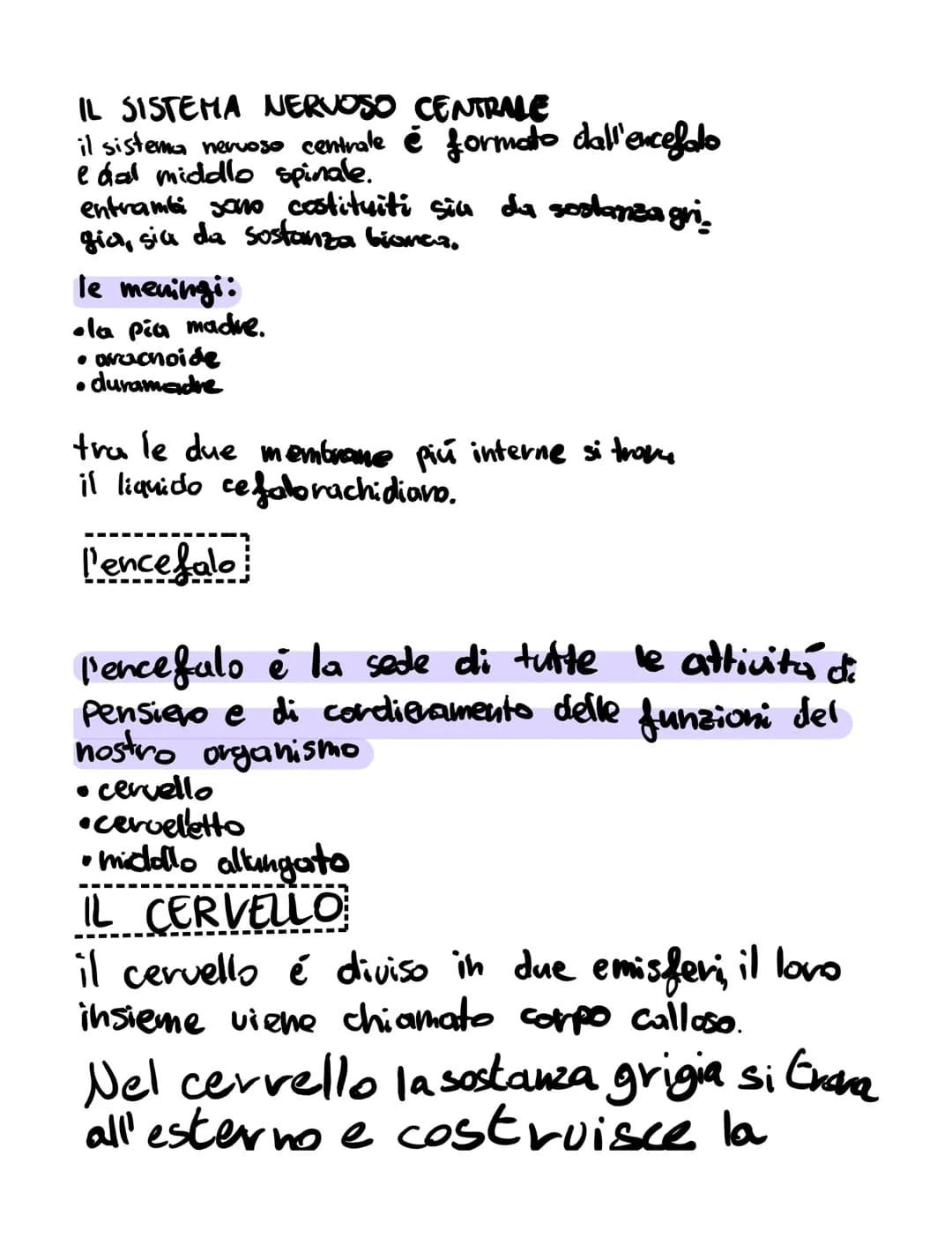 # il sistema nervoso
il sistema nervoso:
* riceve, attraverso i recettori
* elabora
* invia
K
SISTEMA NERVOSO
è formato
۷
centrale t