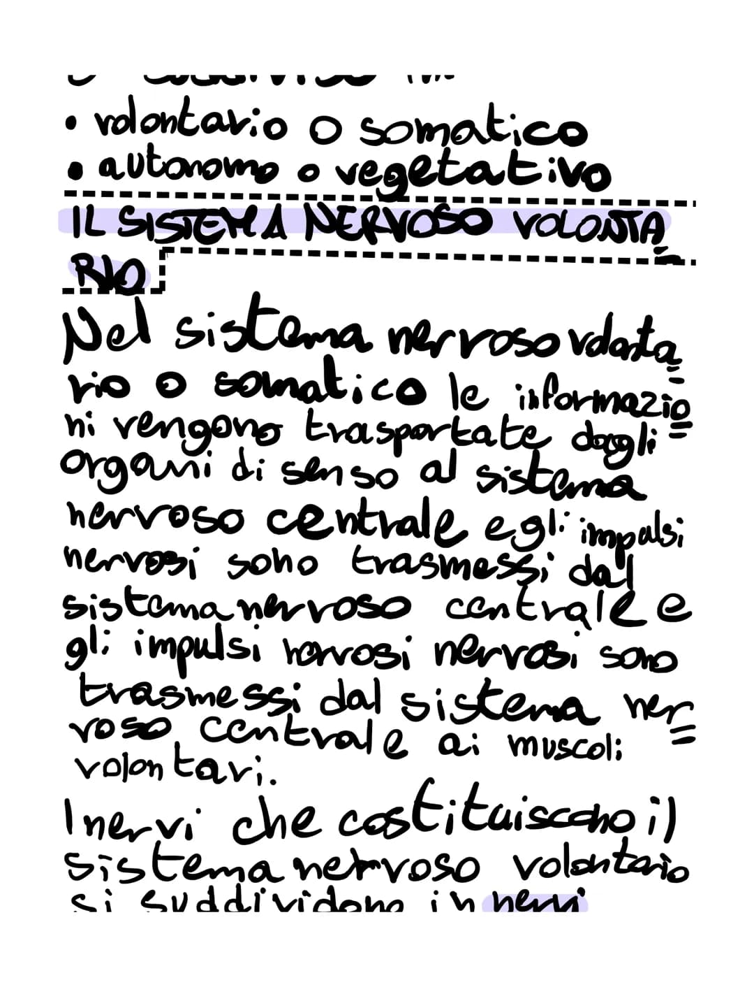 # il sistema nervoso
il sistema nervoso:
* riceve, attraverso i recettori
* elabora
* invia
K
SISTEMA NERVOSO
è formato
۷
centrale t