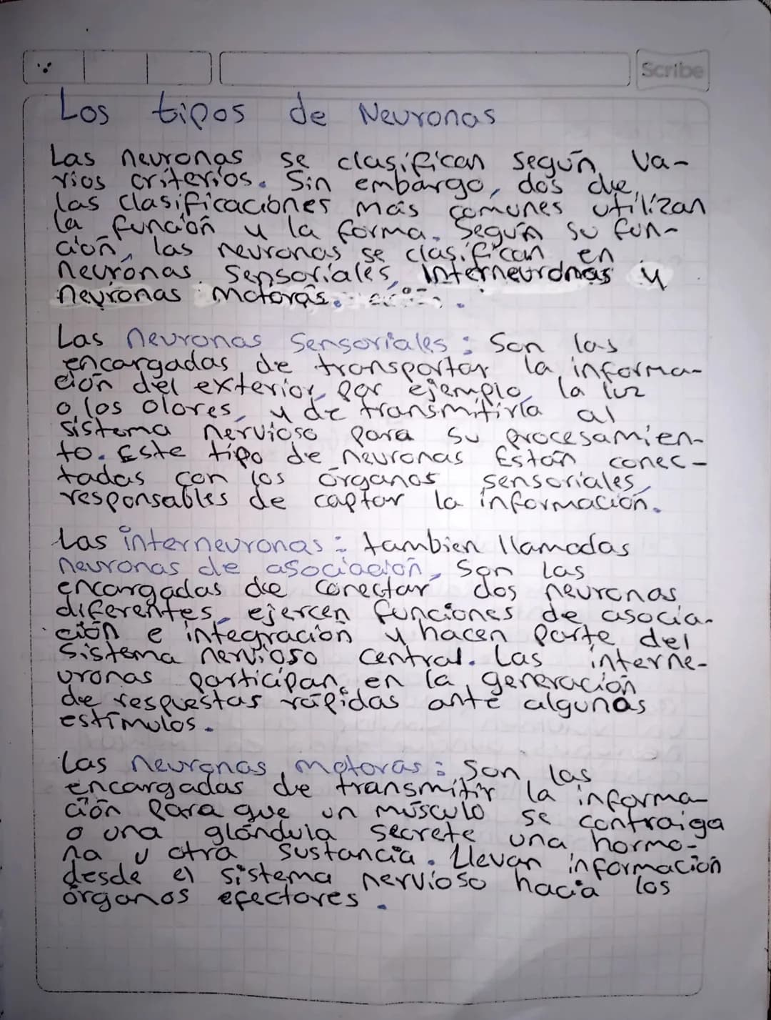 El sistema nervioso
29-05-24
El Sistema nervioso reúne las estructuras
interpreta animales est encargadas ambiente,
de los de
Procesar la in