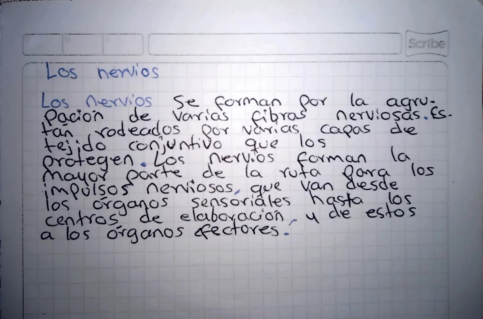 El sistema nervioso
29-05-24
El Sistema nervioso reúne las estructuras
interpreta animales est encargadas ambiente,
de los de
Procesar la in