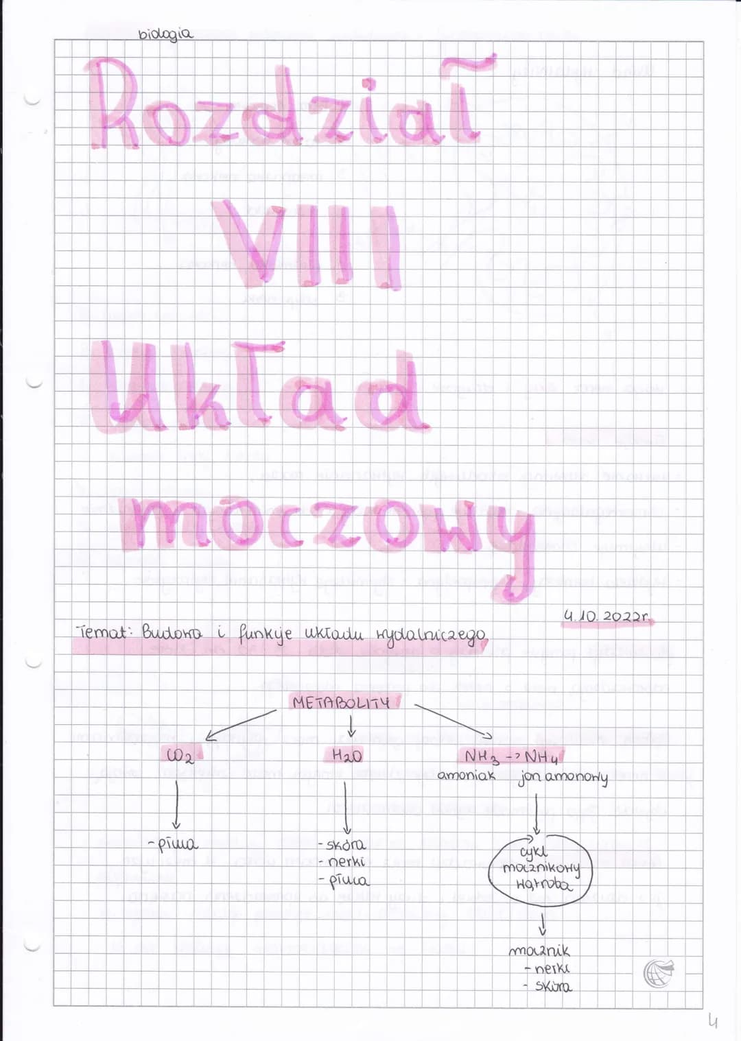 biologia
# Rozdział
# VIII
# Uklad
# moczowy
Temat: Budora i funkje układu wydalniczego
4.10.20220
METABOLITY
02
H2O
NH3-NHU
amoniak jon a