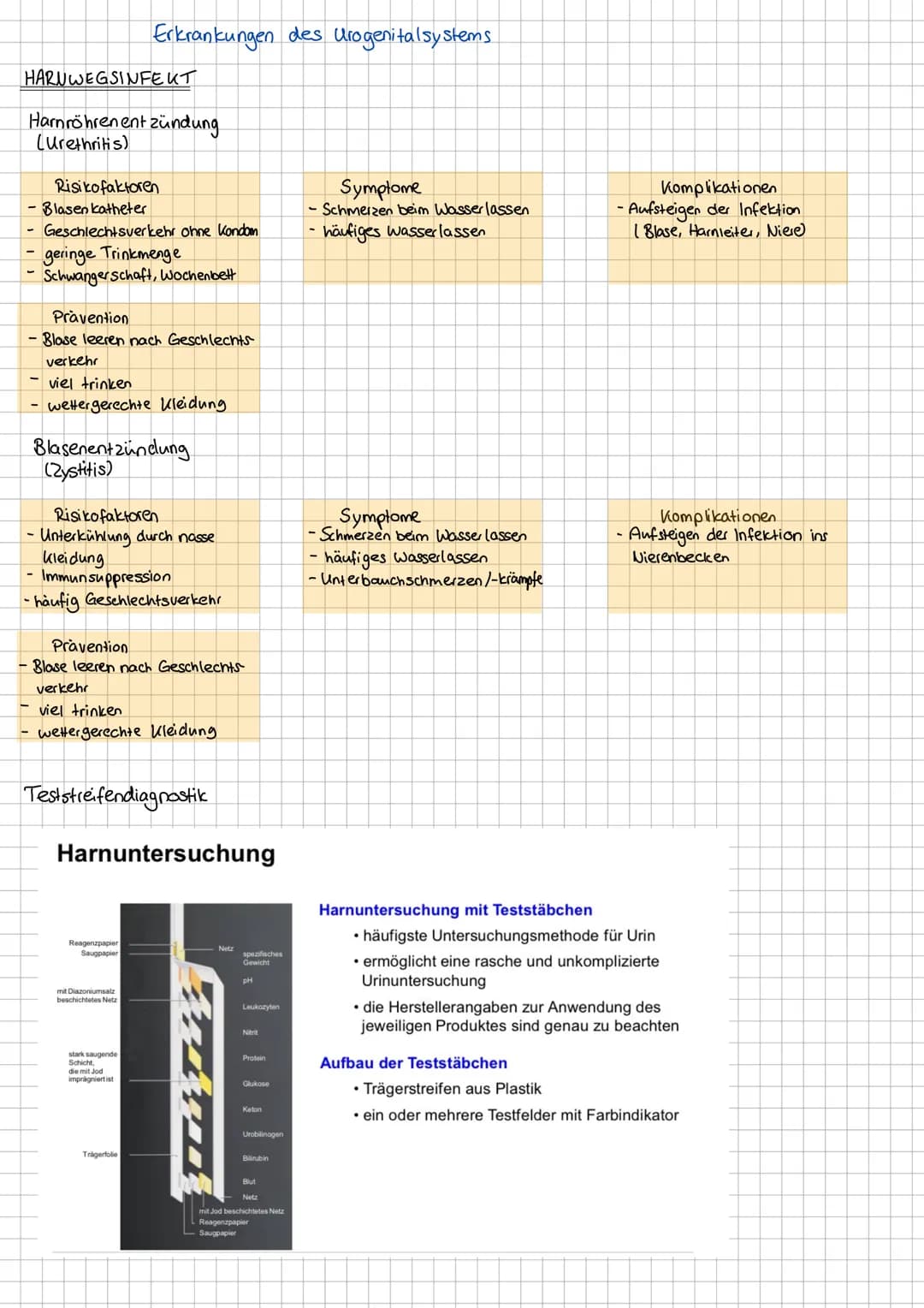 # Bau & Funktion der Niere
Aufgaben Harnsystem
-Harnbildung Entgiftung
-Ausscheidung harnpflichtiger Substanzen
-Regulierung Wasser-/ Salzh
