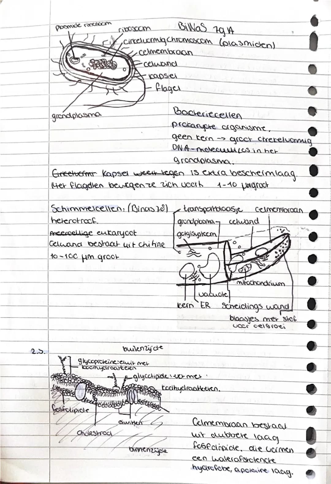 # 2. Cel en Leven
hoofdstuk 2 biologie vwo 4
## 2.1 Moleculen -> Kleinste deeltjes van een stof met nog nieuwe eigenschappen
om glucose op